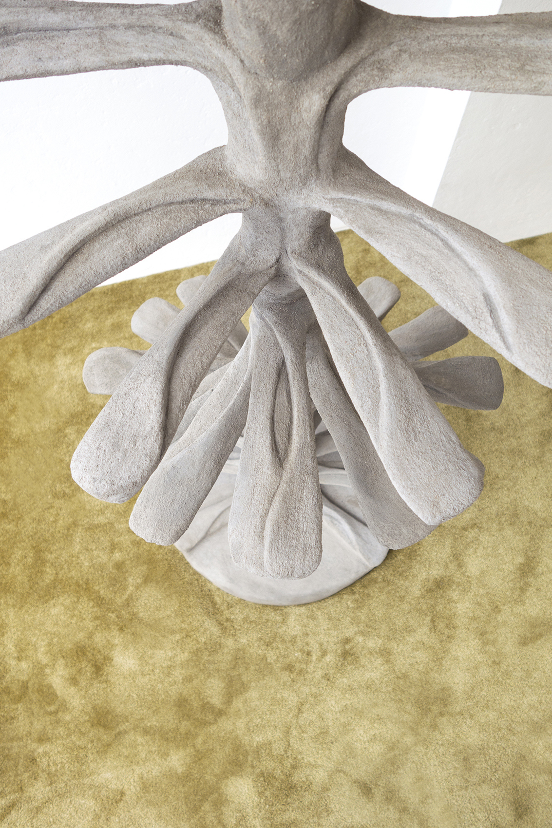 Exhibition view, Conjoined Cell(s), 2024, Xolo Cuintle, La borne, Poctb, Puiseaux