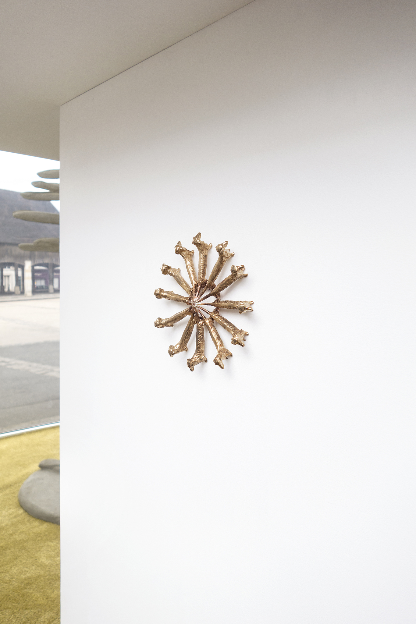 Exhibition view, Conjoined Cell(s), 2024, Xolo Cuintle, La borne, Poctb, Puiseaux