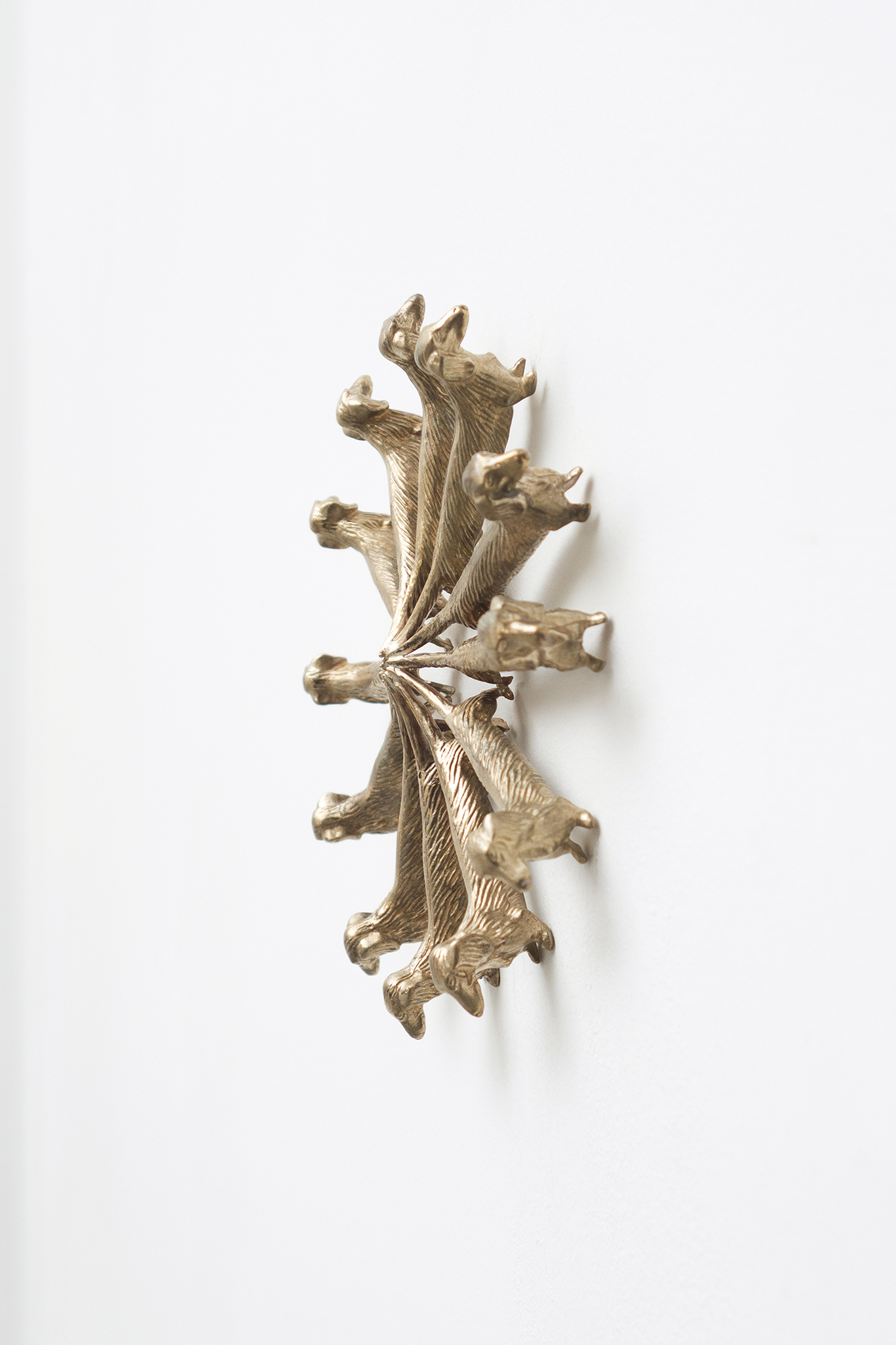Exhibition view, Conjoined Cell(s), 2024, Xolo Cuintle, La borne, Poctb, Puiseaux
