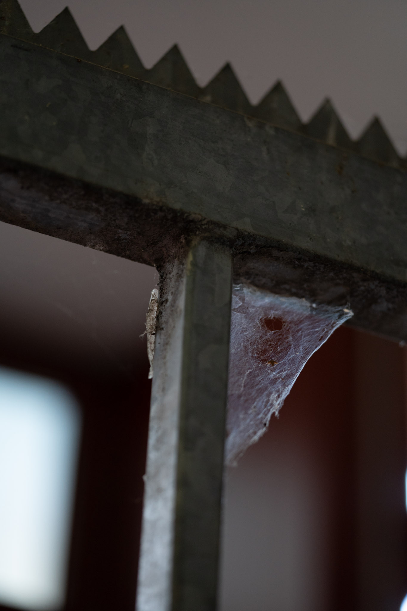 Emma Adler, STRG-Z, 2024, exhibition view