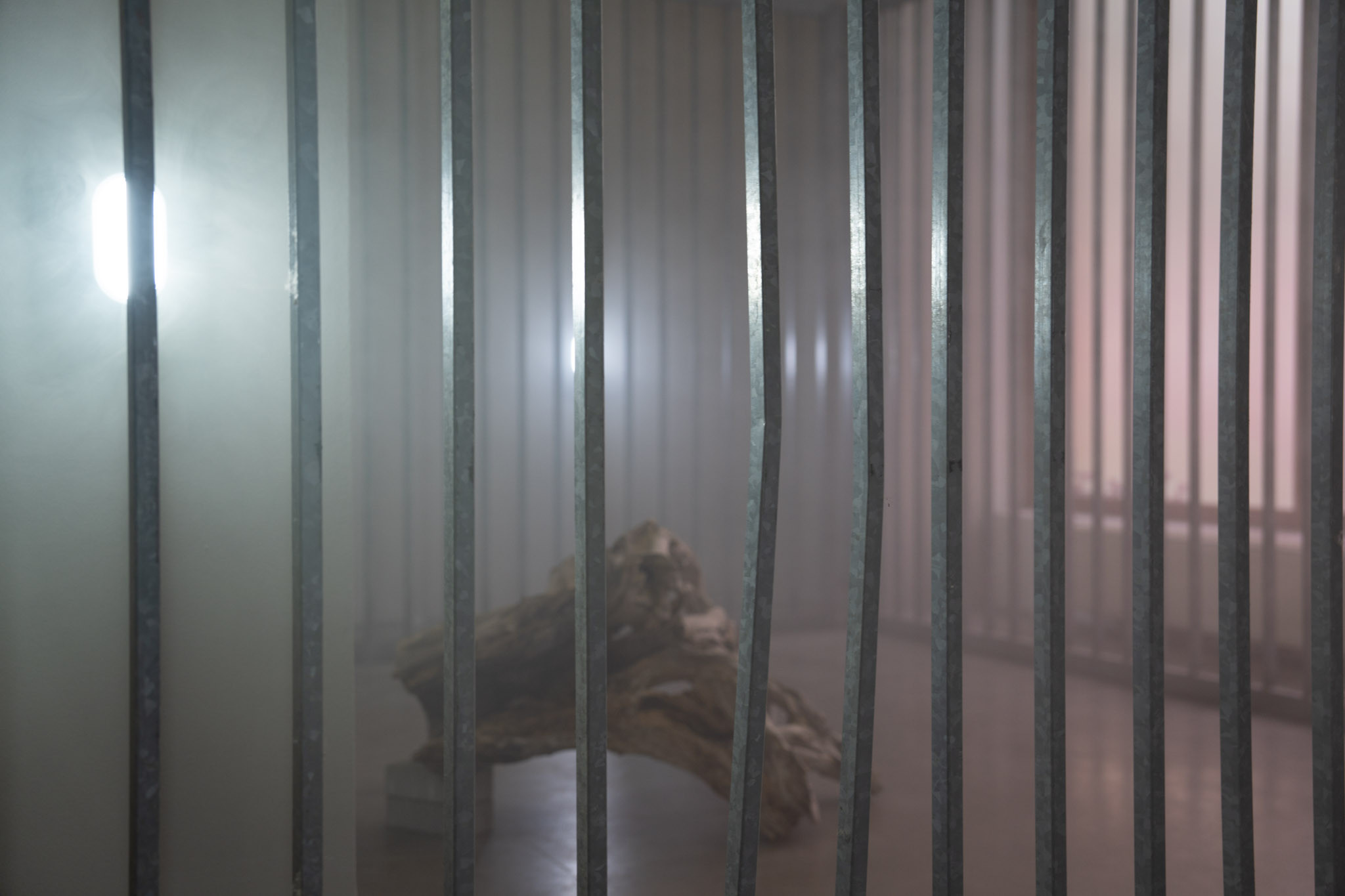 Emma Adler, STRG-Z, 2024, exhibition view