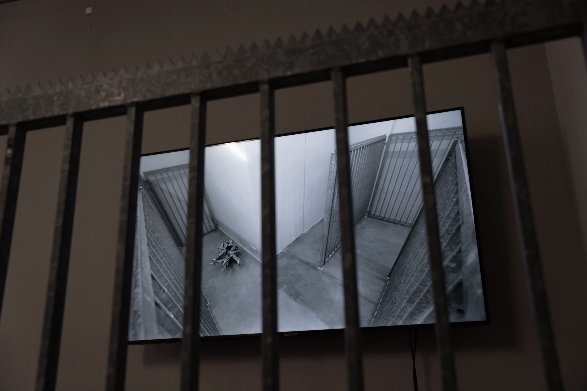 Emma Adler, STRG-Z (Feier), 2024, video + sound, 10:05 min, edition 3 + 2 AP (detail)