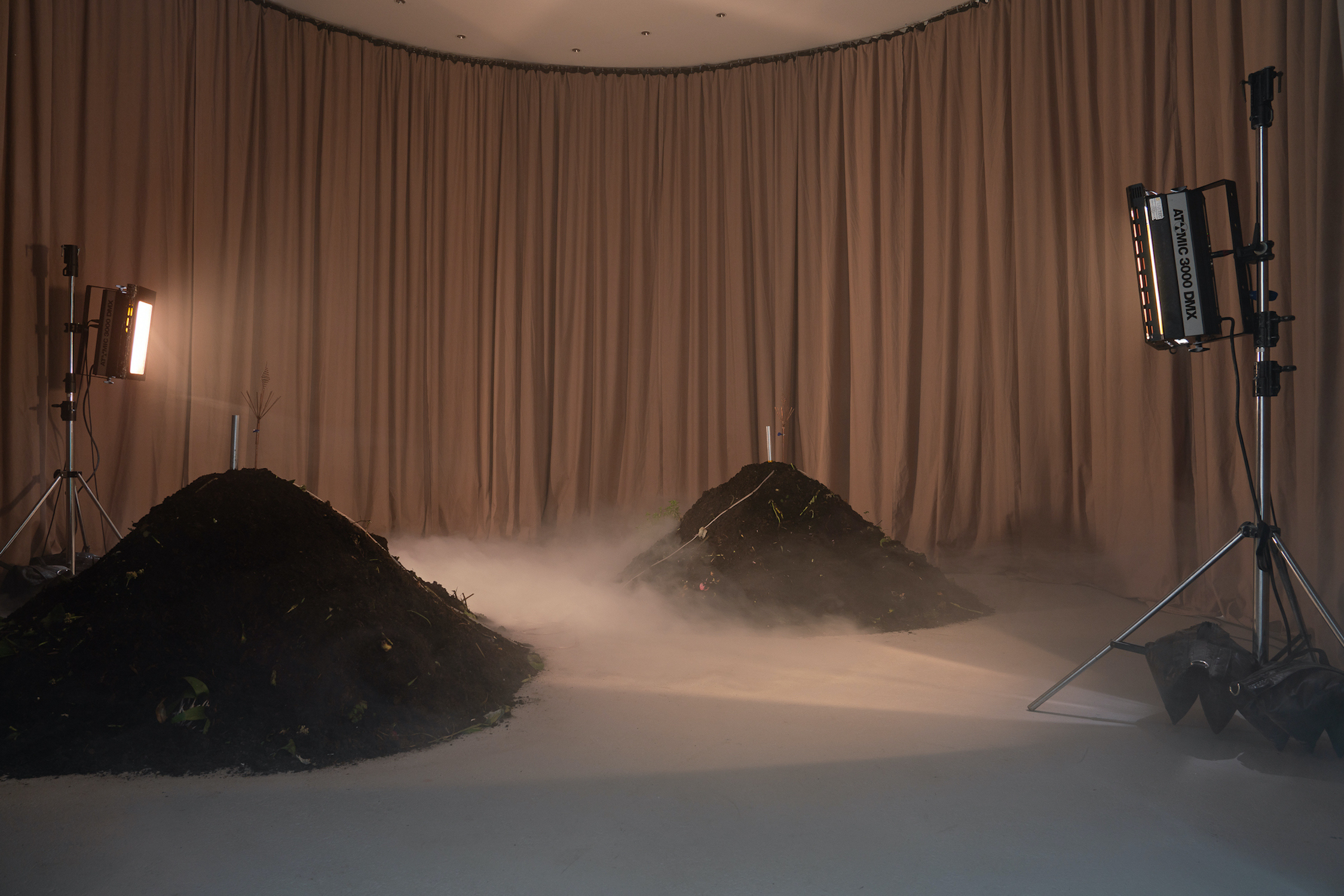 Jenna Sutela, Vermi Cell, 2023 | Courtesy of max goelitz | Copyright of the artist | Photo: Dirk Tacke