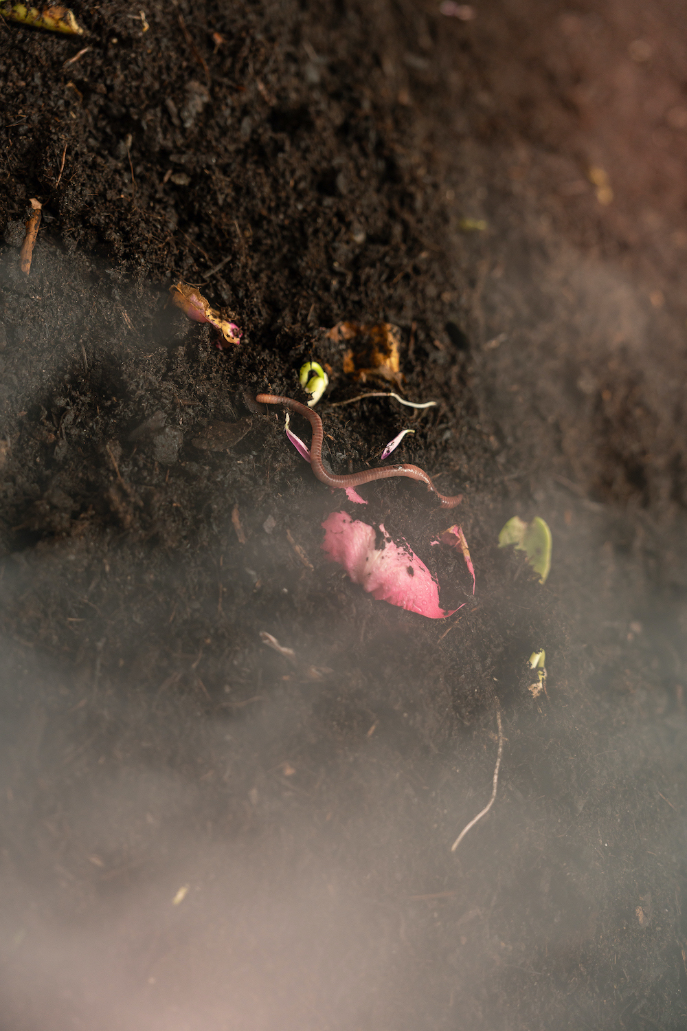 Jenna Sutela, Vermi Cell, 2023, Detail | Courtesy of max goelitz | Copyright of the artist | Photo: Dirk Tacke