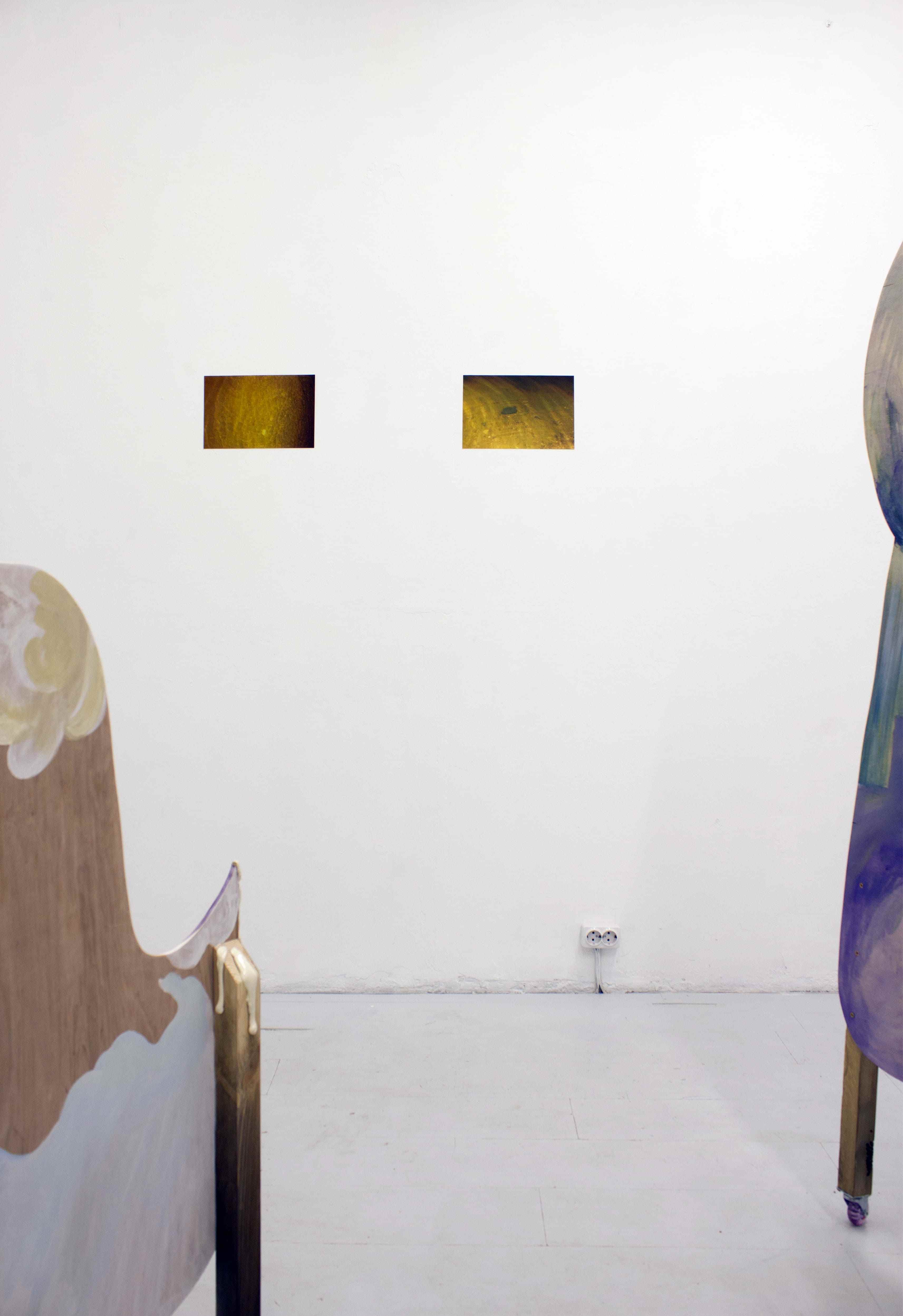 Exhibition view. Photo: Slava Nesterov.