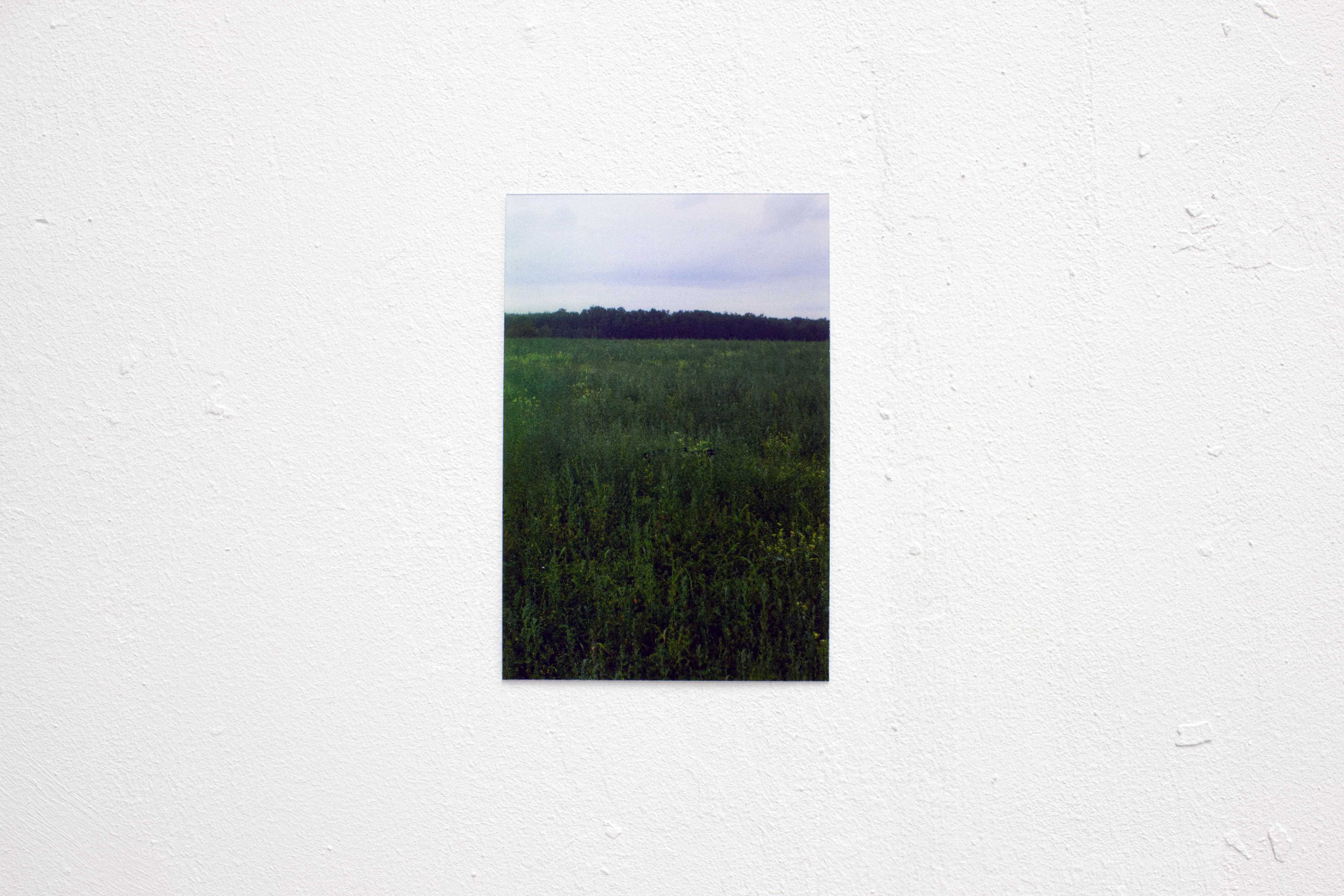Katya Vlasova, «Signs», 2024. Print, stereo photography. Photo: Slava Nesterov.