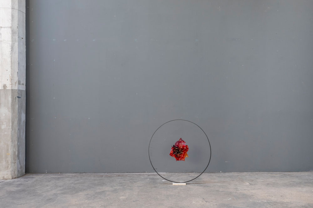 'Sheer Pulses' a solo show by Marco Vignati_exhibition view