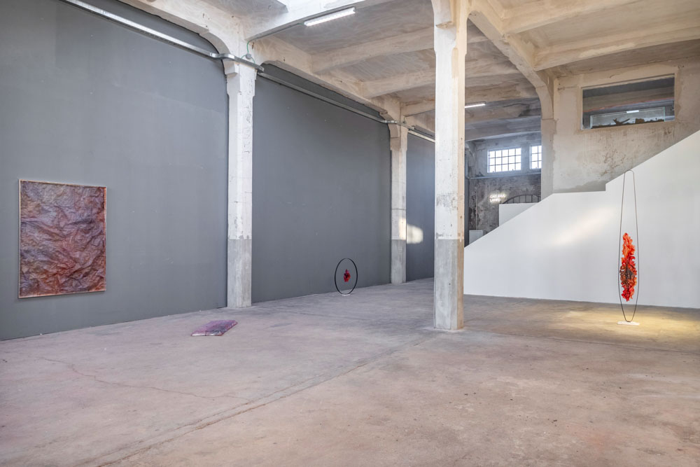 'Sheer Pulses' a solo show by Marco Vignati_exhibition view