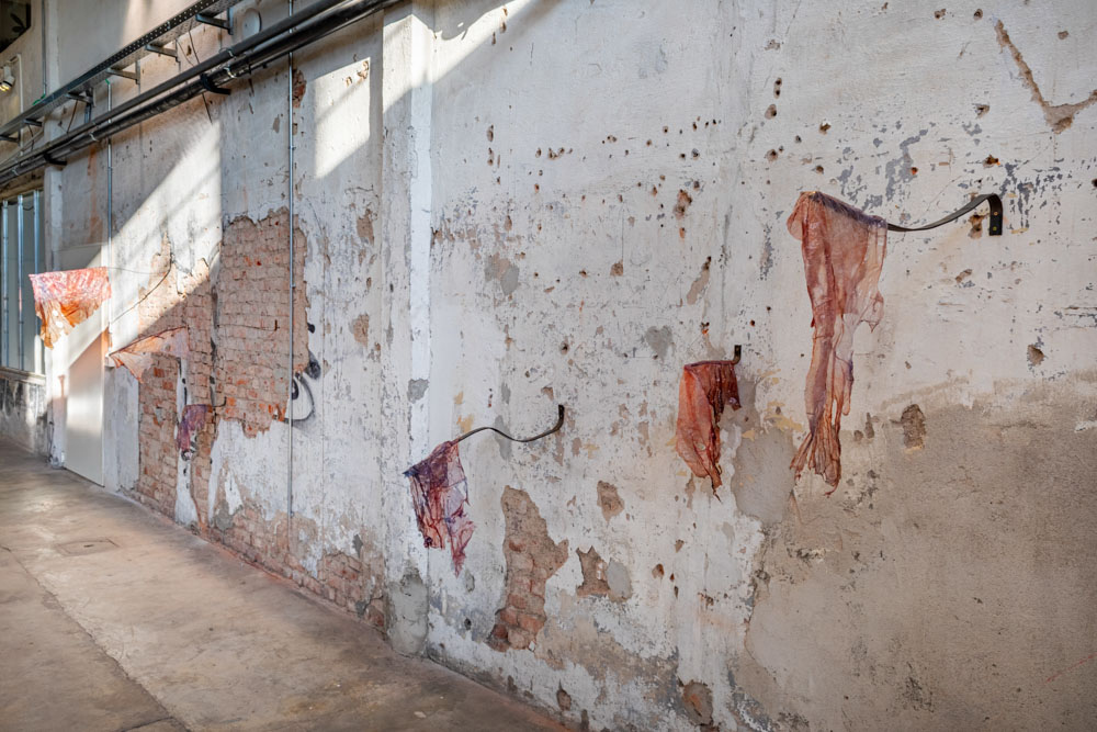 'Sheer Pulses' a solo show by Marco Vignati_exhibition view