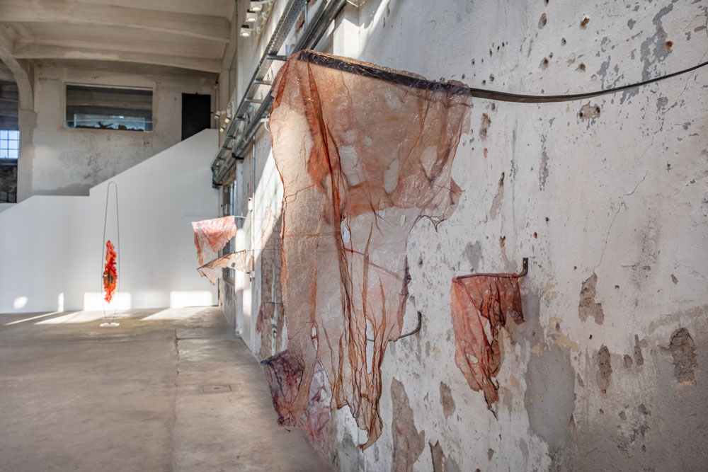'Sheer Pulses' a solo show by Marco Vignati_exhibition view