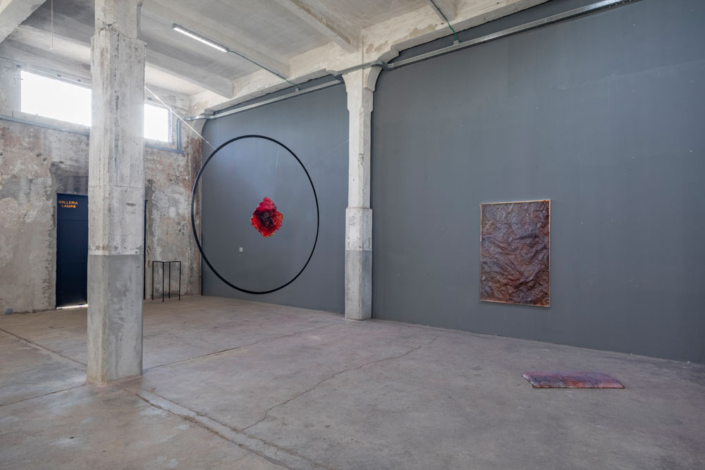 'Sheer Pulses' a solo show by Marco Vignati_exhibition view