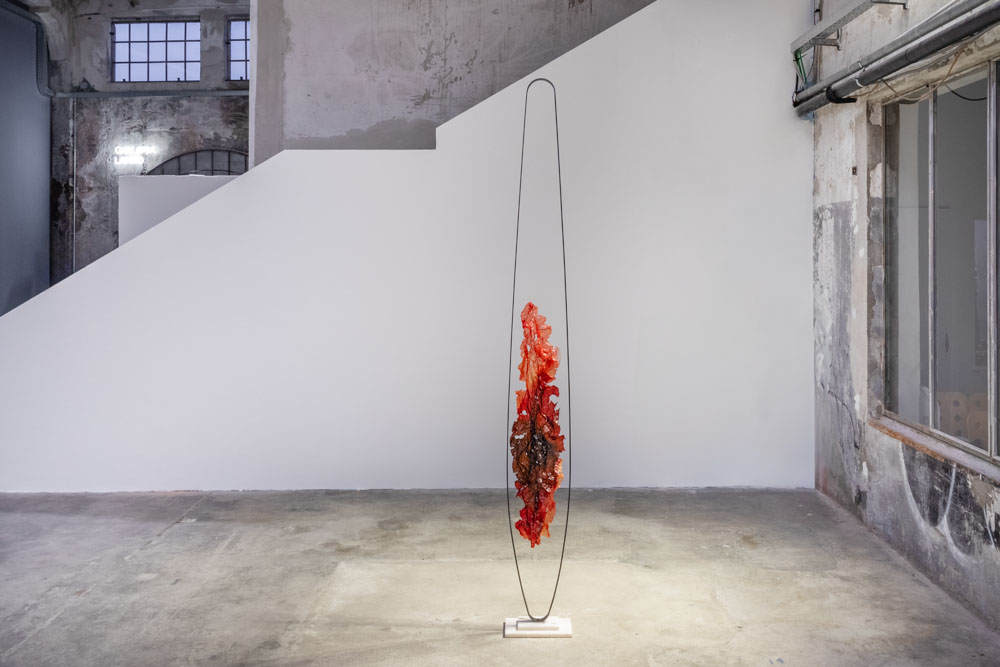 'Sheer Pulses' a solo show by Marco Vignati_exhibition view