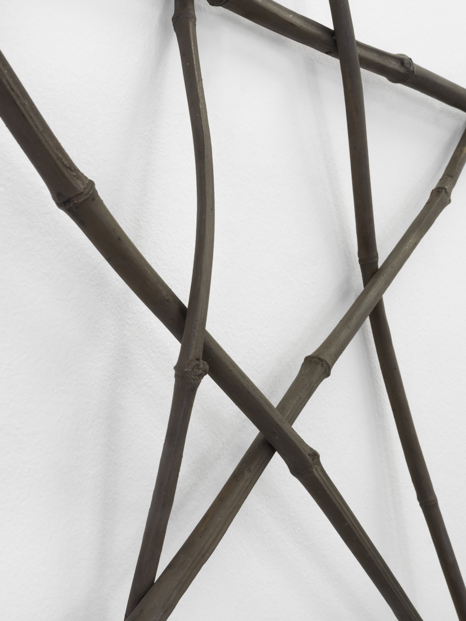 Big Bamboo (HD 102195), 2024, patinated bronze, 82 Ă— 83 Ă— 8.5 cm