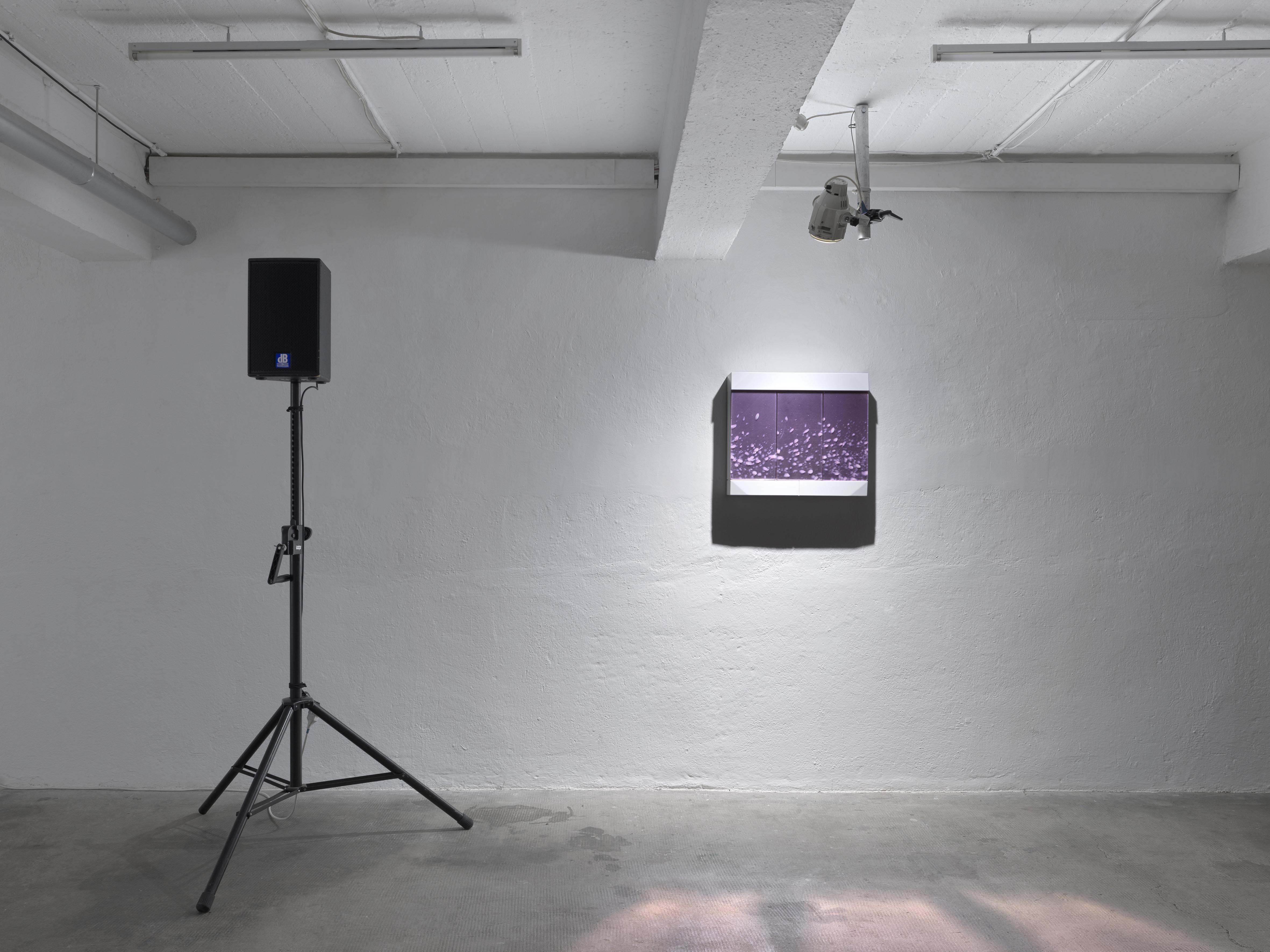 Exhibition view