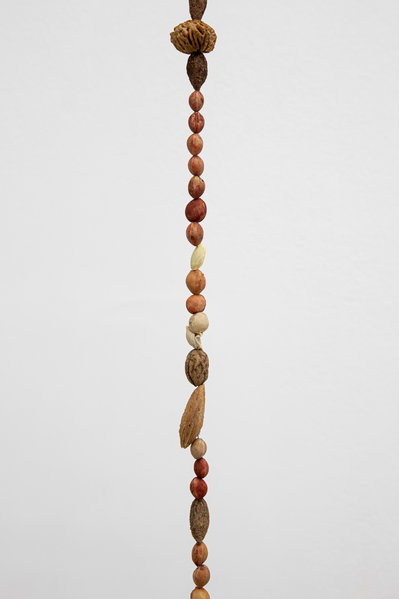 Océane Bruel, All the Mouths, pits of cherries, olives, plums, peaches, apricots, lemon, metal thread, 2024. Photo: Bruno Silva