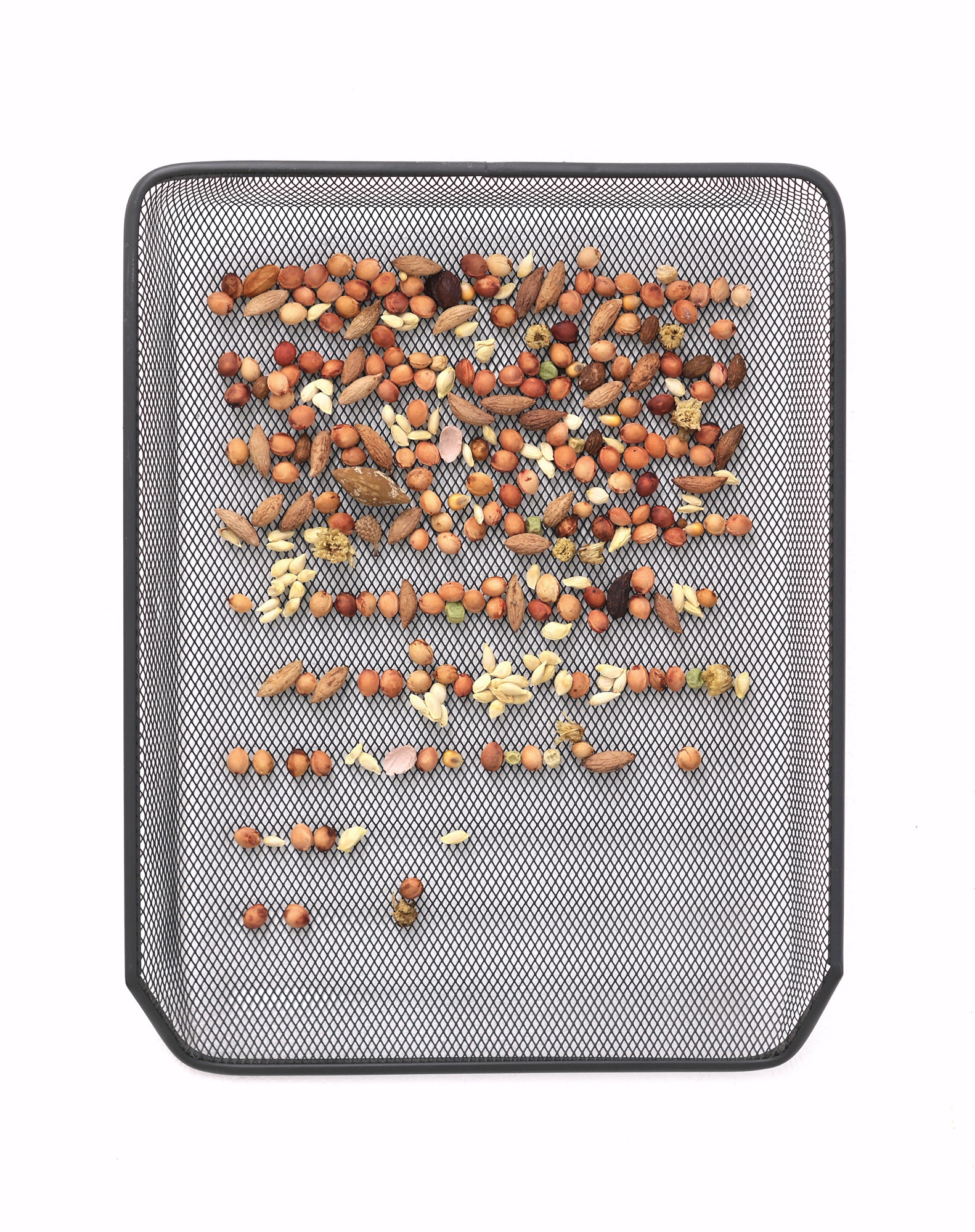 Océane Bruel, No Hello, No Goodbye, steel paper tray, cherry pits, olive pits, lemon seeds, chrysanthemum, stoneware, 2024. Photo: dyaln ray arnold