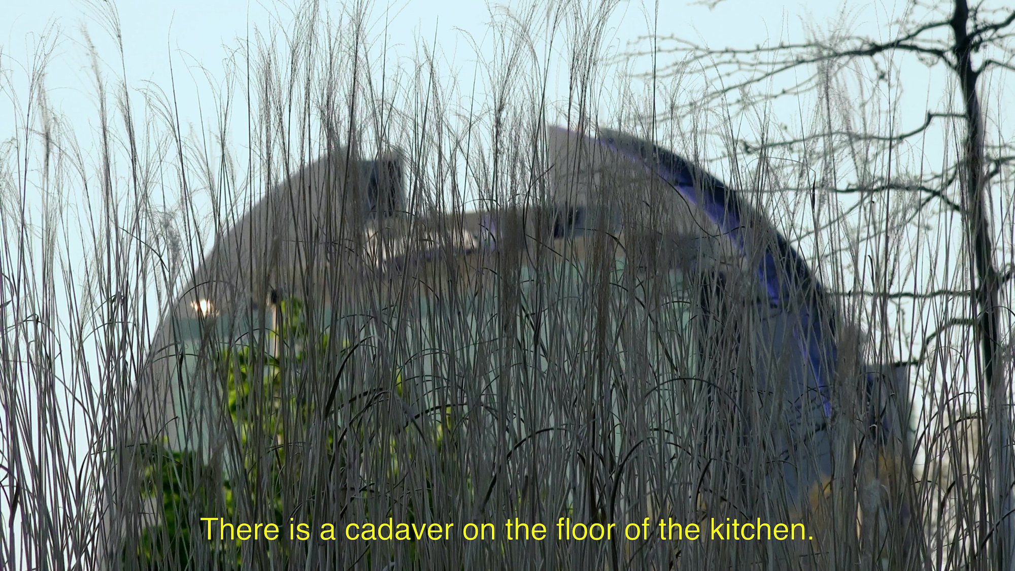 Still from The Secret Millionaire, Pt. 3, HD Video