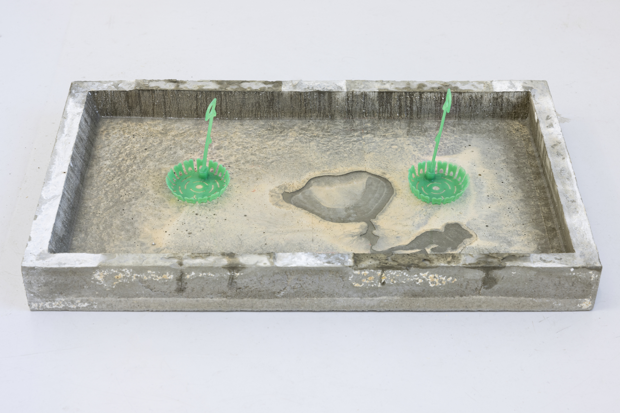 Haudutus, 2023 Concrete, water, plastic 30 x 50 x 15 cm