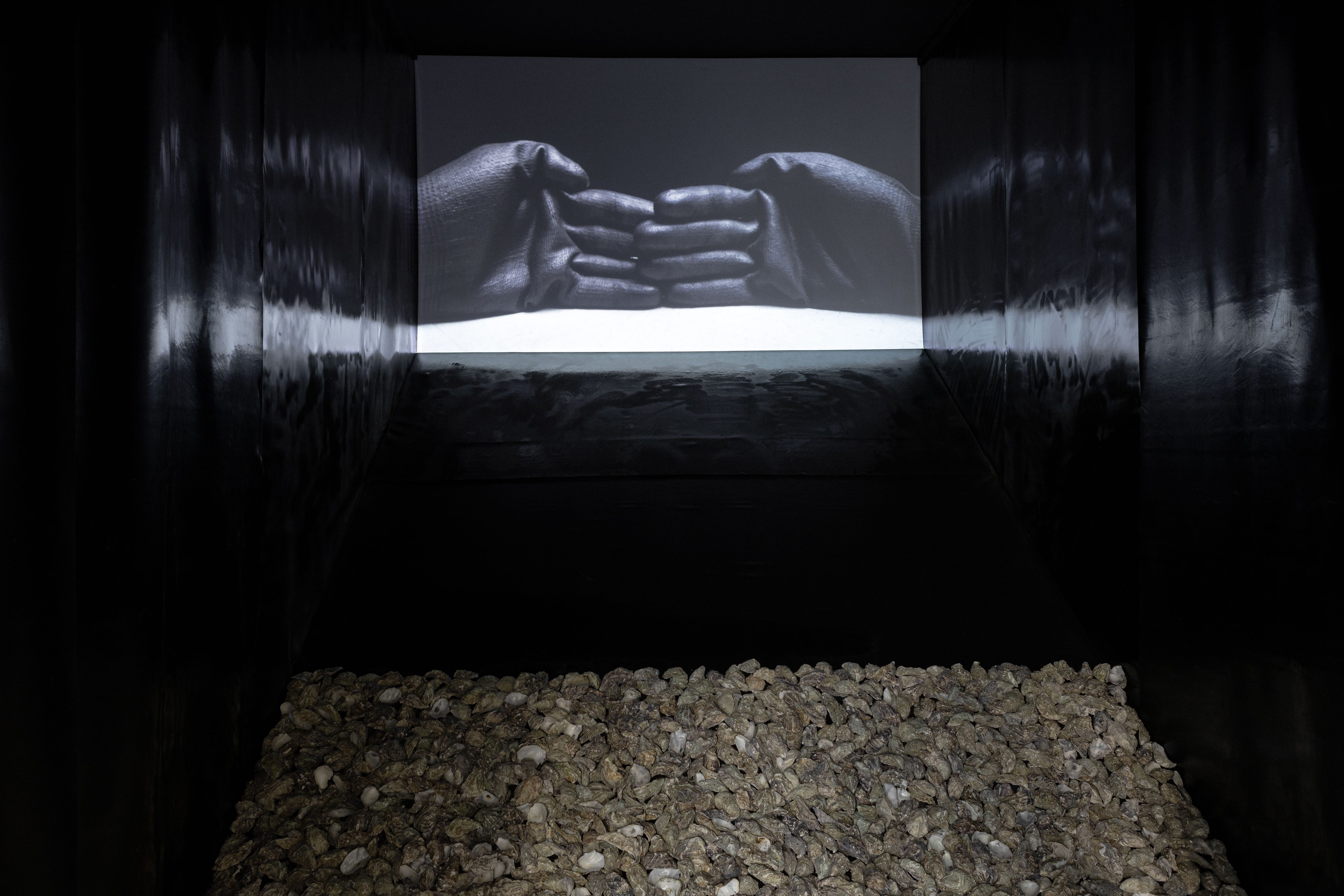 Agnieszka Mastalerz and Michał Szaranowicz, Sluice, video installation: oyster shells, 2018–2024