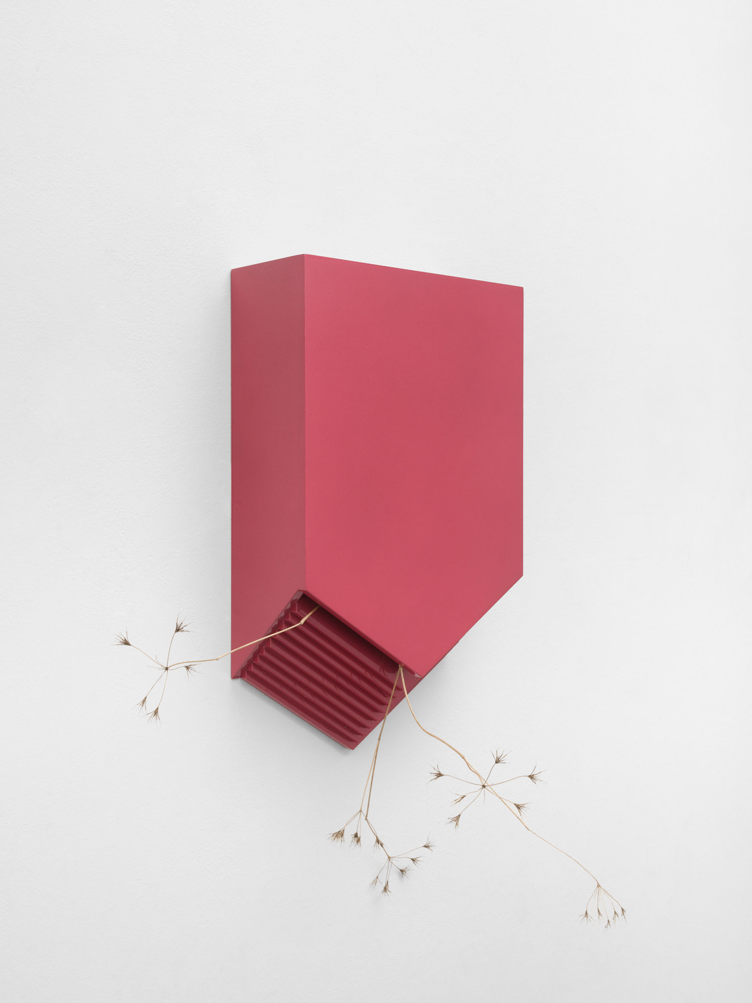 Lena Marie Emrich, Untitled , 2024 V Series, Recycled Hard Plastic, Car paint, Turnip Weed, 38,5 x 23,5 x 10 cm