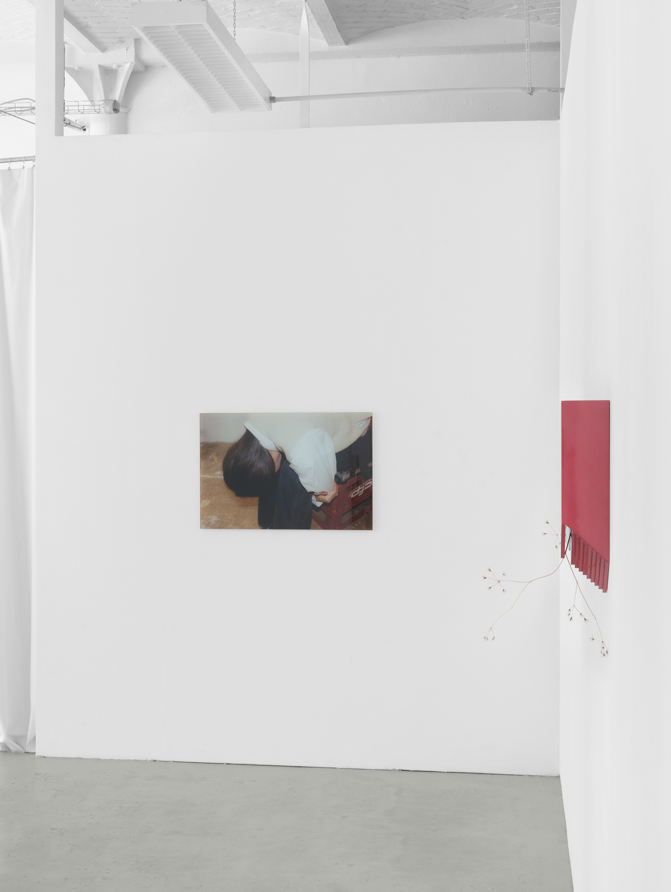 Exhibition View, Lena Marie Emrich, BRACE,BRACE, 2024