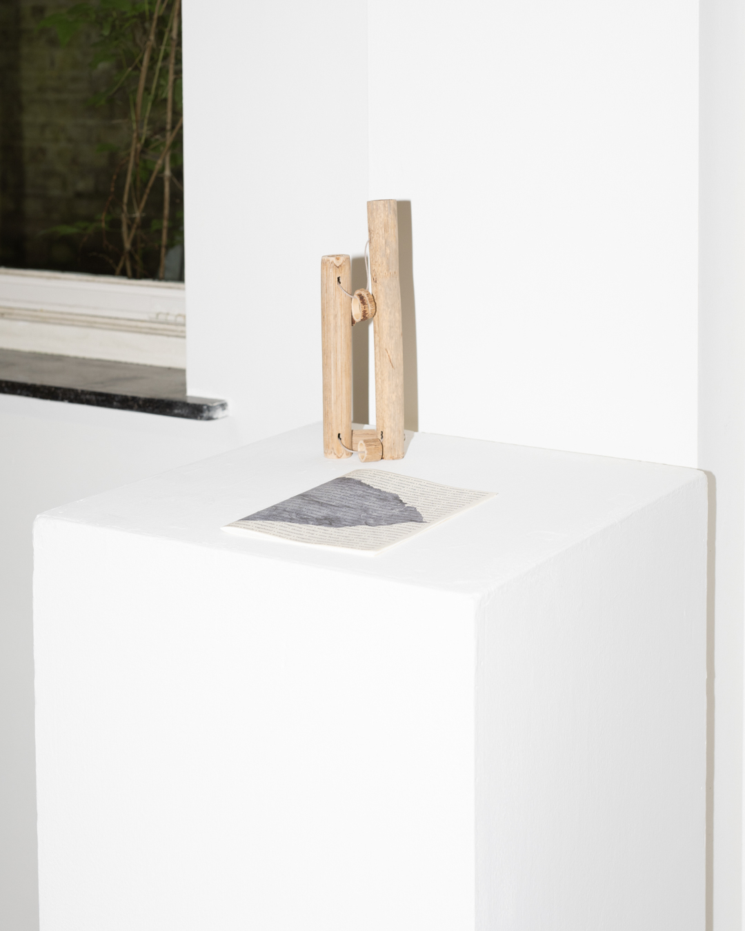 Alaa Abu Asad, In the absence of the invasive: Can we fiÂnally look at the Japanese knotweed as a green fuÂture companion?. 2024. Booklet, dried Japanese Knotweed sticks