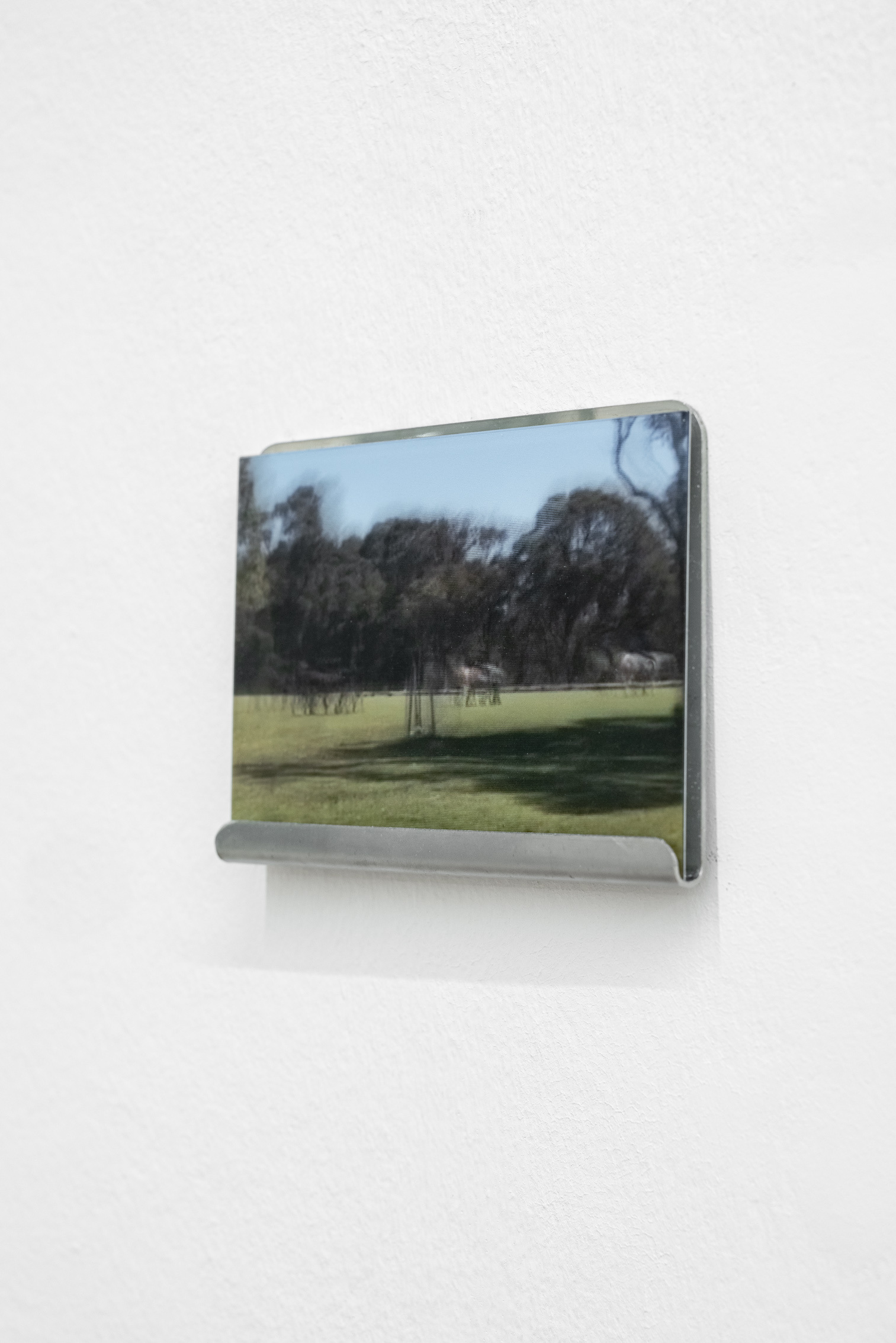 Laura Ní Fhlaibhín, "Róisín silver flips", 2020, lenticular print from i-phone footage taken during Róisín’s equine therapy sessions with Silver the horse, resting on stainless steel curved platel 12 x 26 x 2 cm