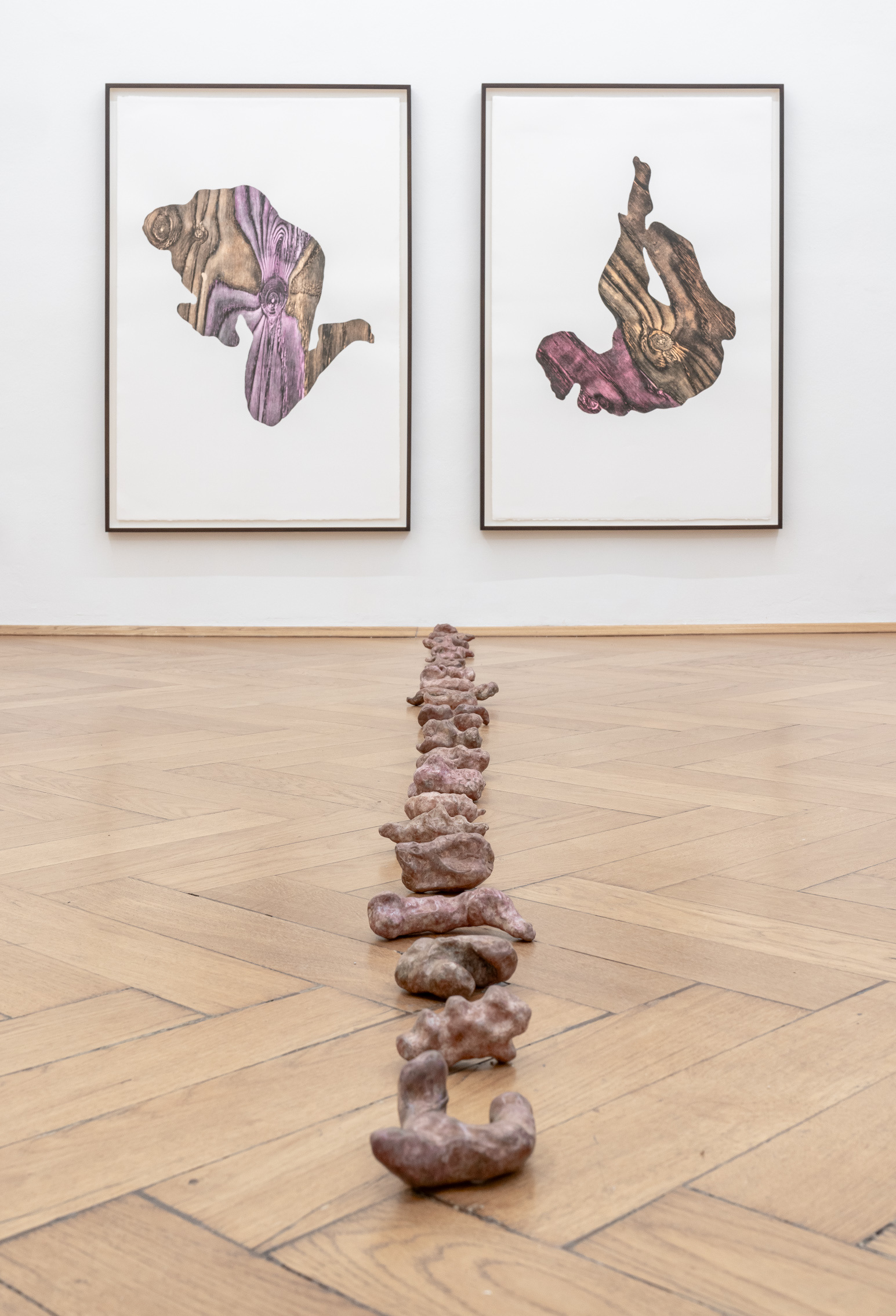 Installation view, "Footfalls" (Alice Maher), Britta Rettberg Munich, 2024