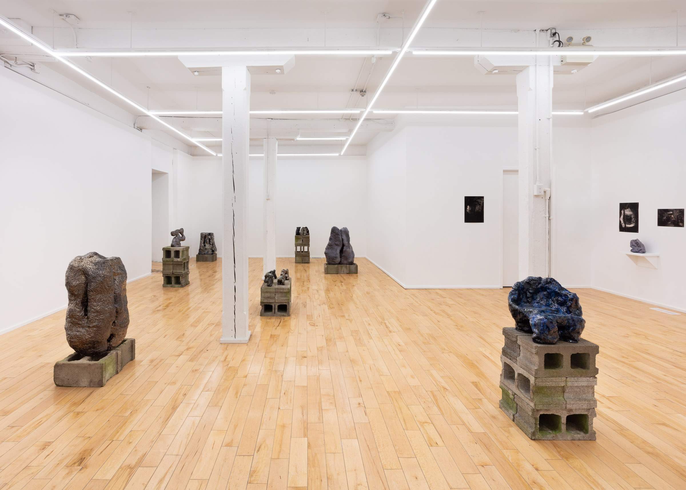 Installation View of "Memories of the Mountain," Studio Pararaum at the Visual Arts Centre of Clarington, 2024.