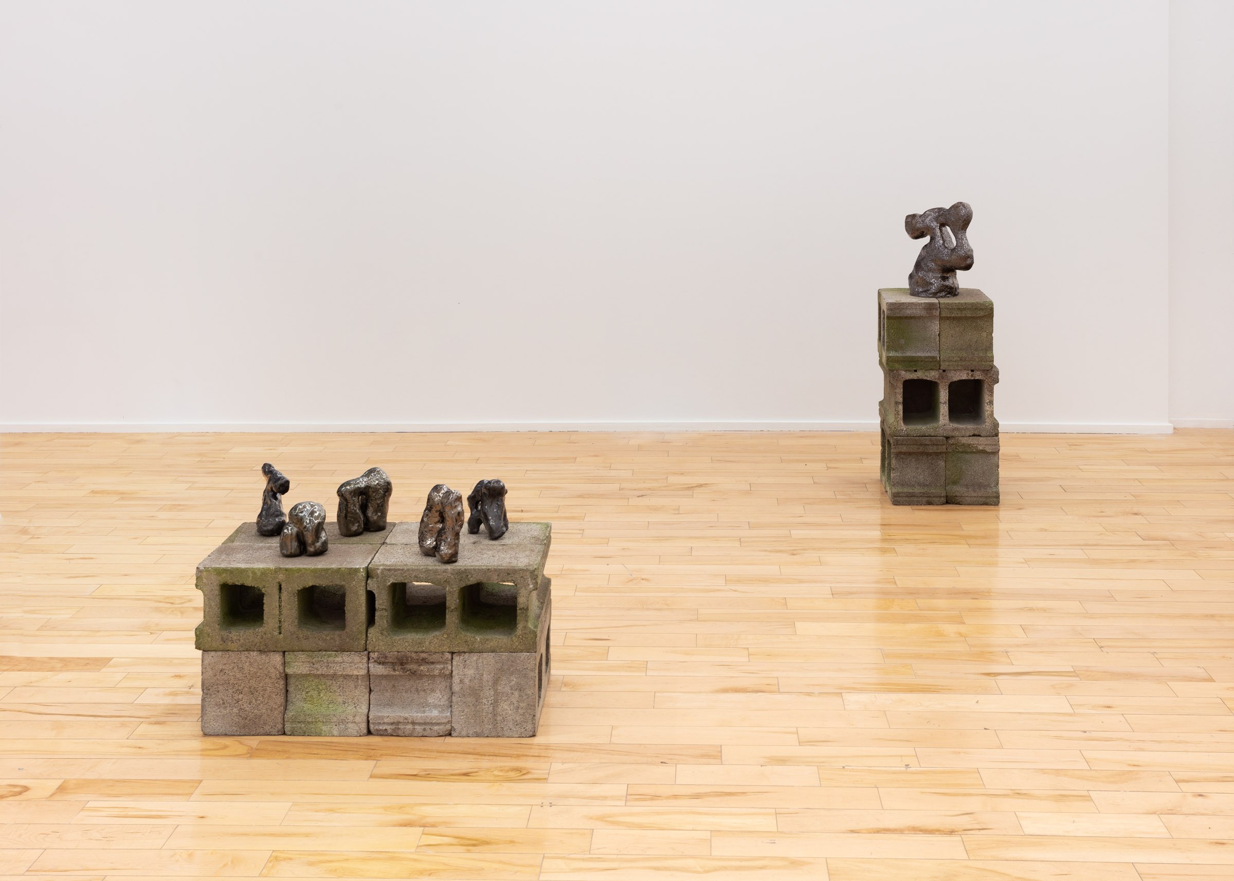 Installation View of "Memories of the Mountain," Studio Pararaum at the Visual Arts Centre of Clarington, 2024.