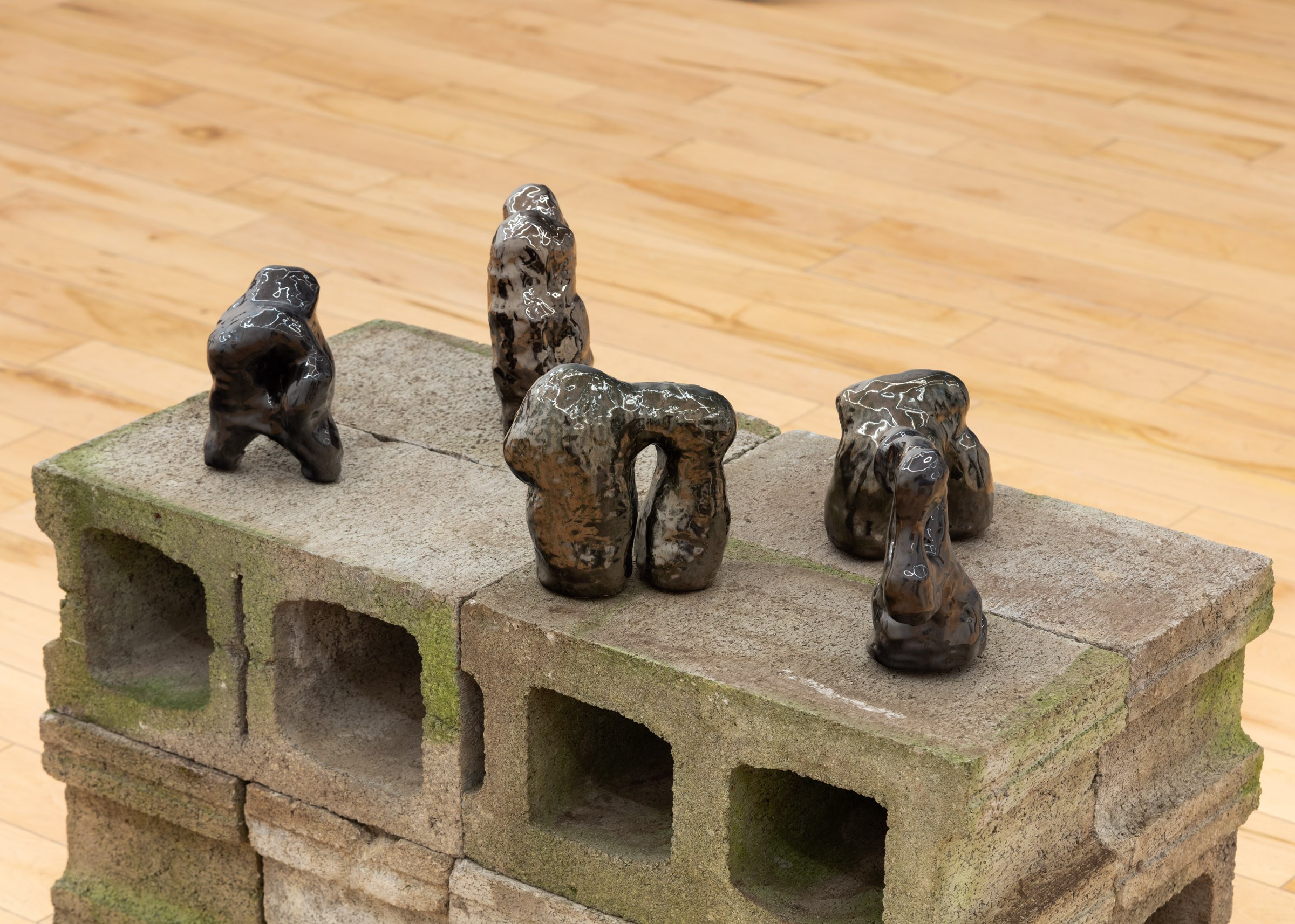 Detail View of "Memories of the Mountain," Studio Pararaum at the Visual Arts Centre of Clarington, 2024.