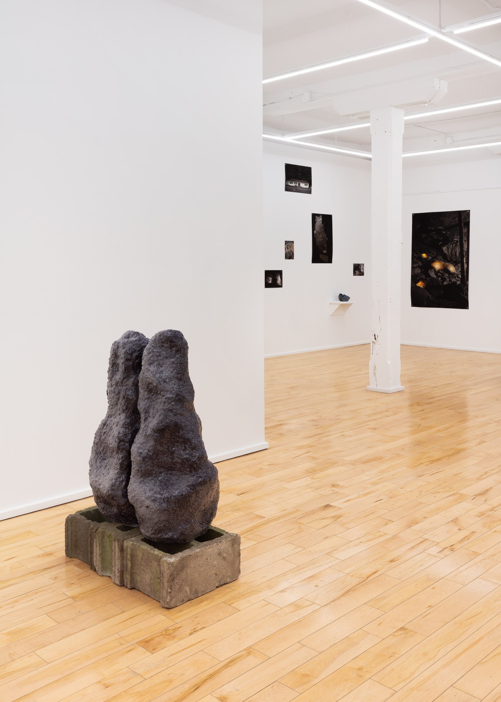 Installation View of "Memories of the Mountain," Studio Pararaum at the Visual Arts Centre of Clarington, 2024.