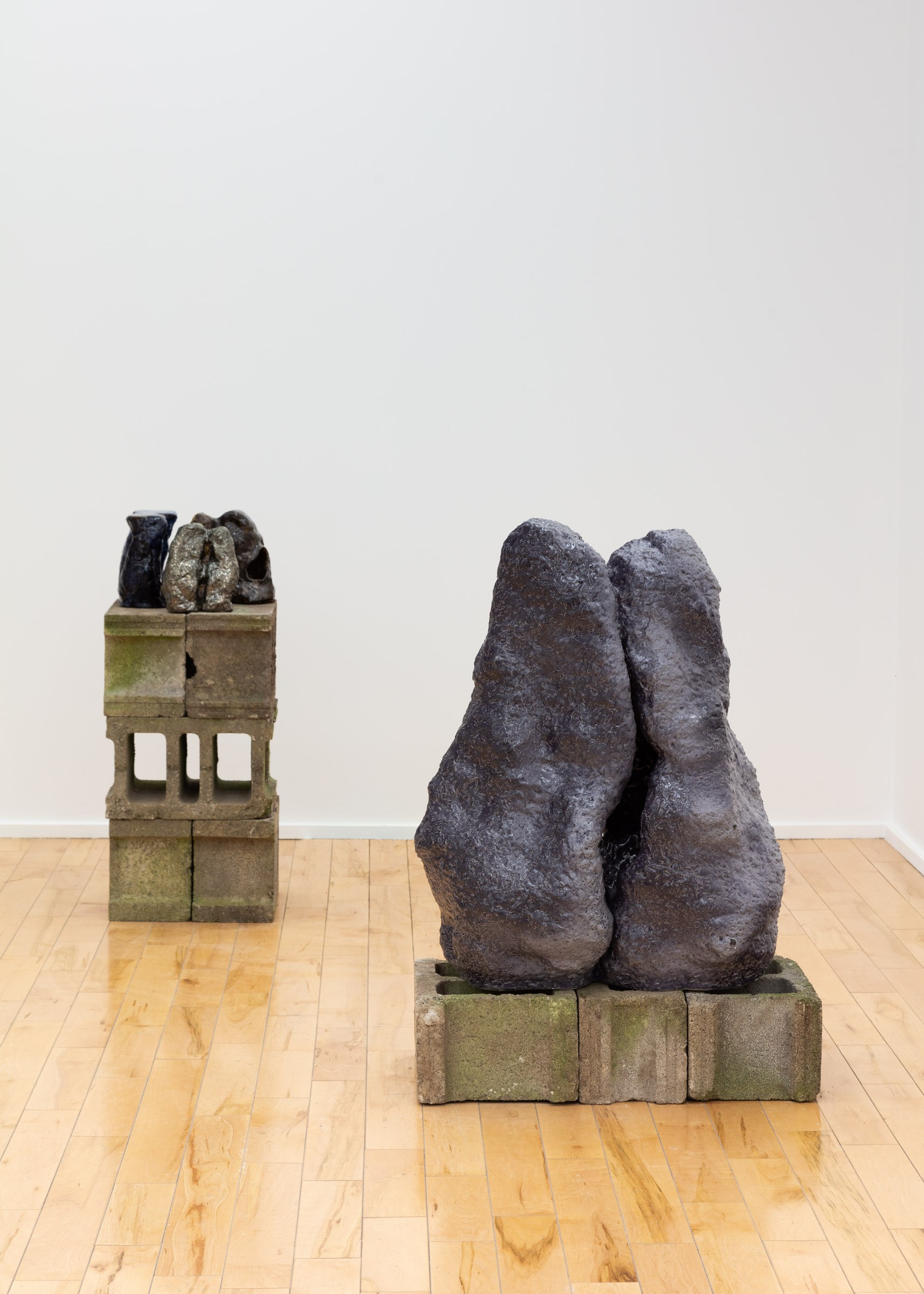 Installation View of "Memories of the Mountain," Studio Pararaum at the Visual Arts Centre of Clarington, 2024.