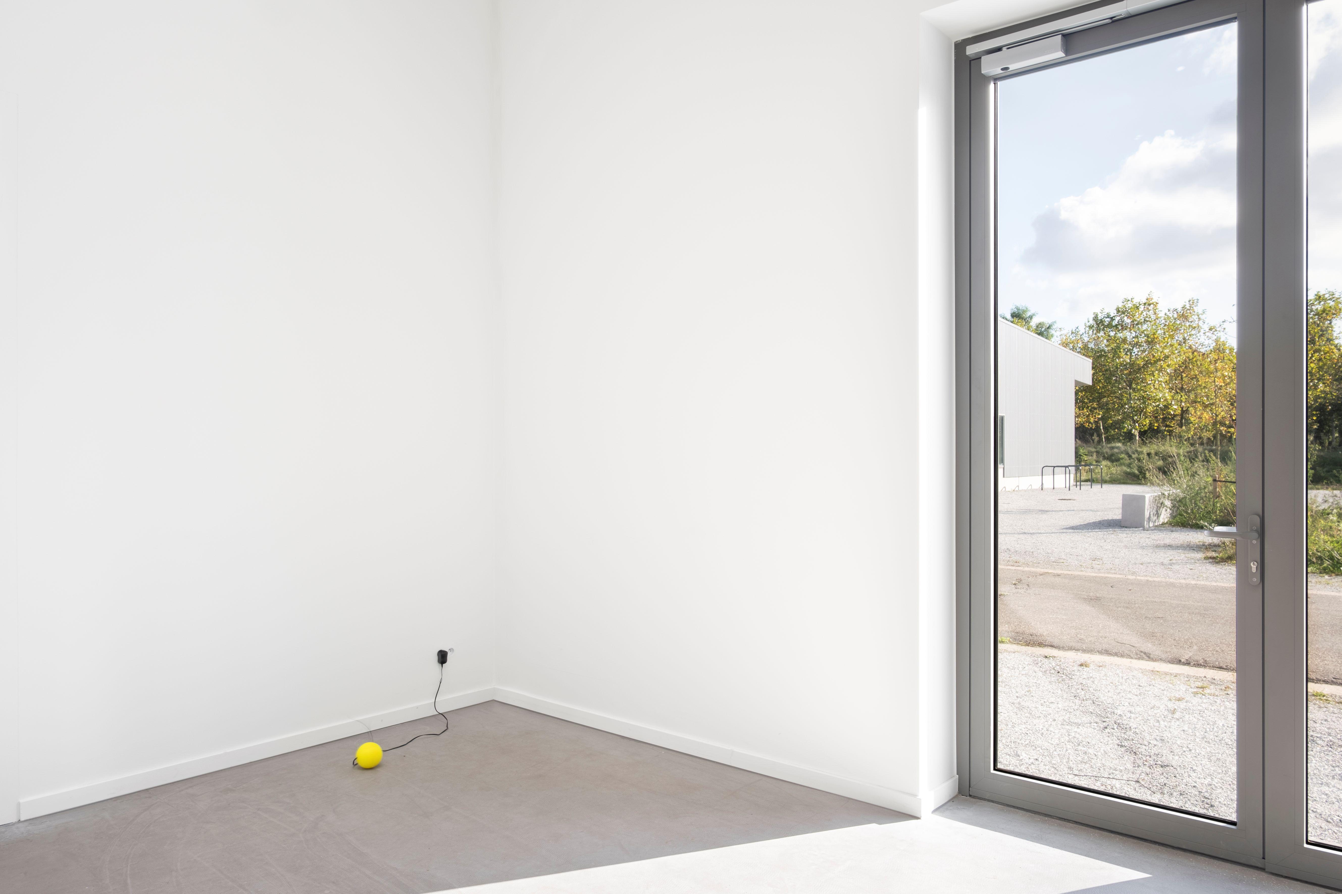 Room of the Present - Installation view: Dangos, Kamil Bouzoubaa-Grivel, 2024, 3D print, mini-car engine, piano wire