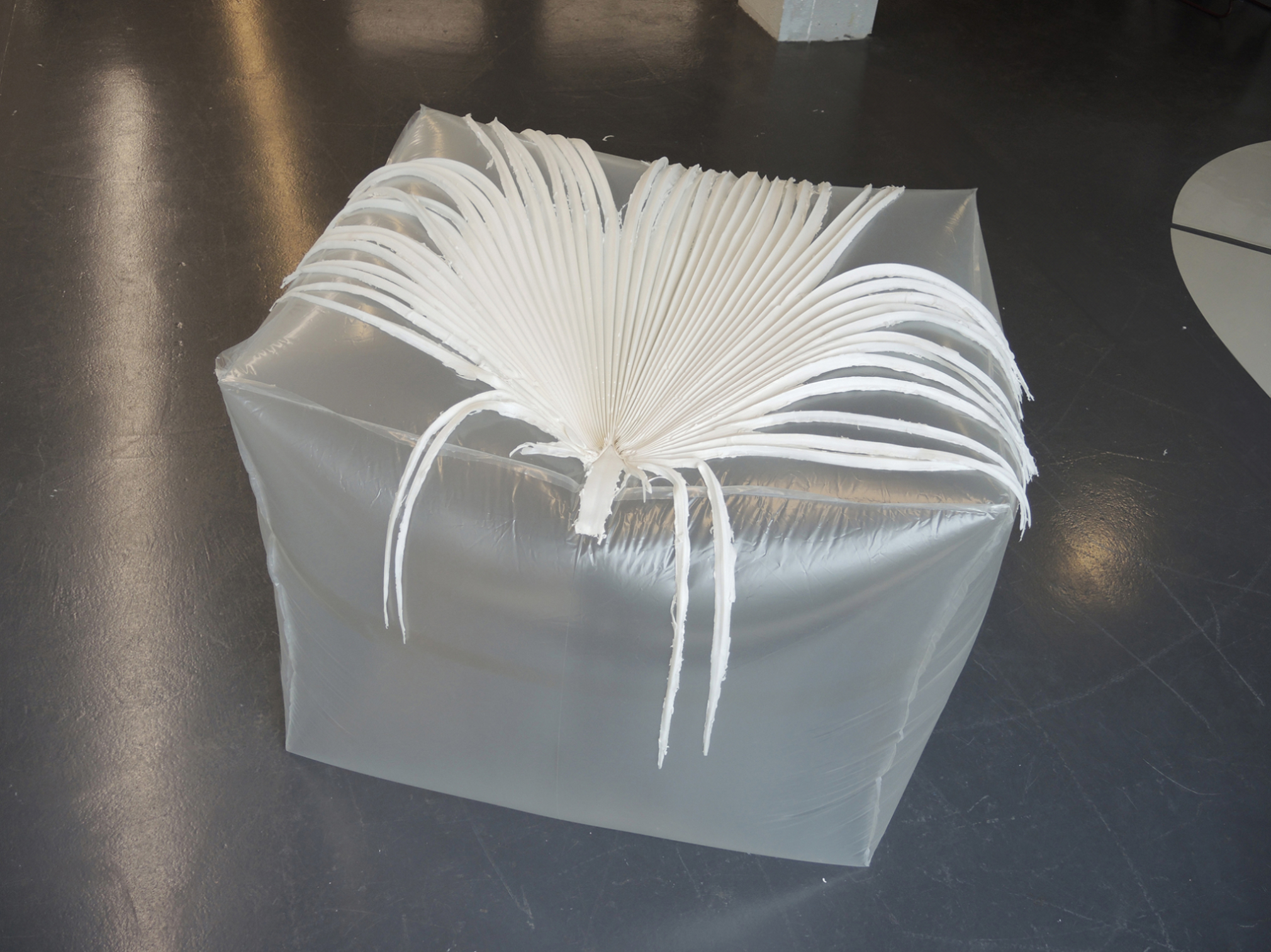 Annegret Kellner, âAnaesthesia Series - Washingtonia palm (california dreaming)â, silicone cast on inflatable, 2023