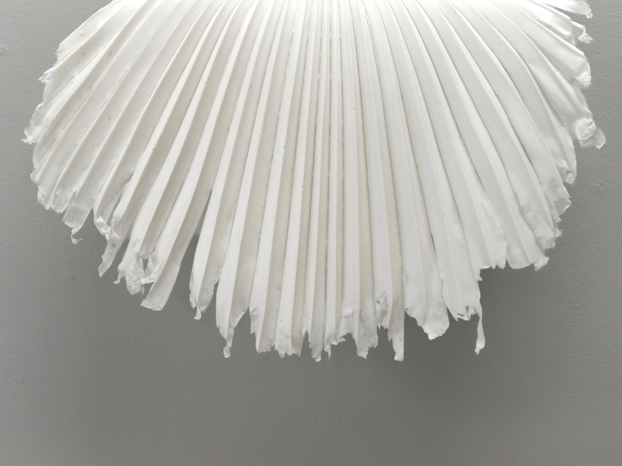 Annegret Kellner, âSemiramis Sway Serie - Washingtonia palmâ (detail), silicone cast on steel bracket, 2022