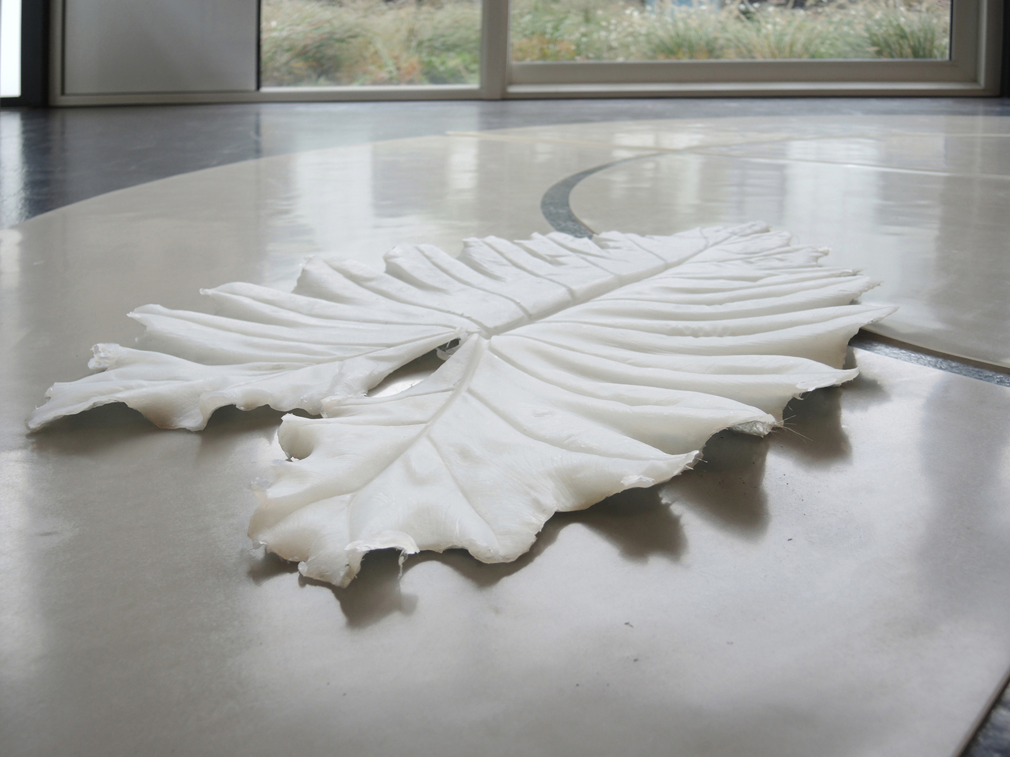 Annegret Kellner, âAnaesthesia Series â Alocasiaâ, silicone cast, 2024