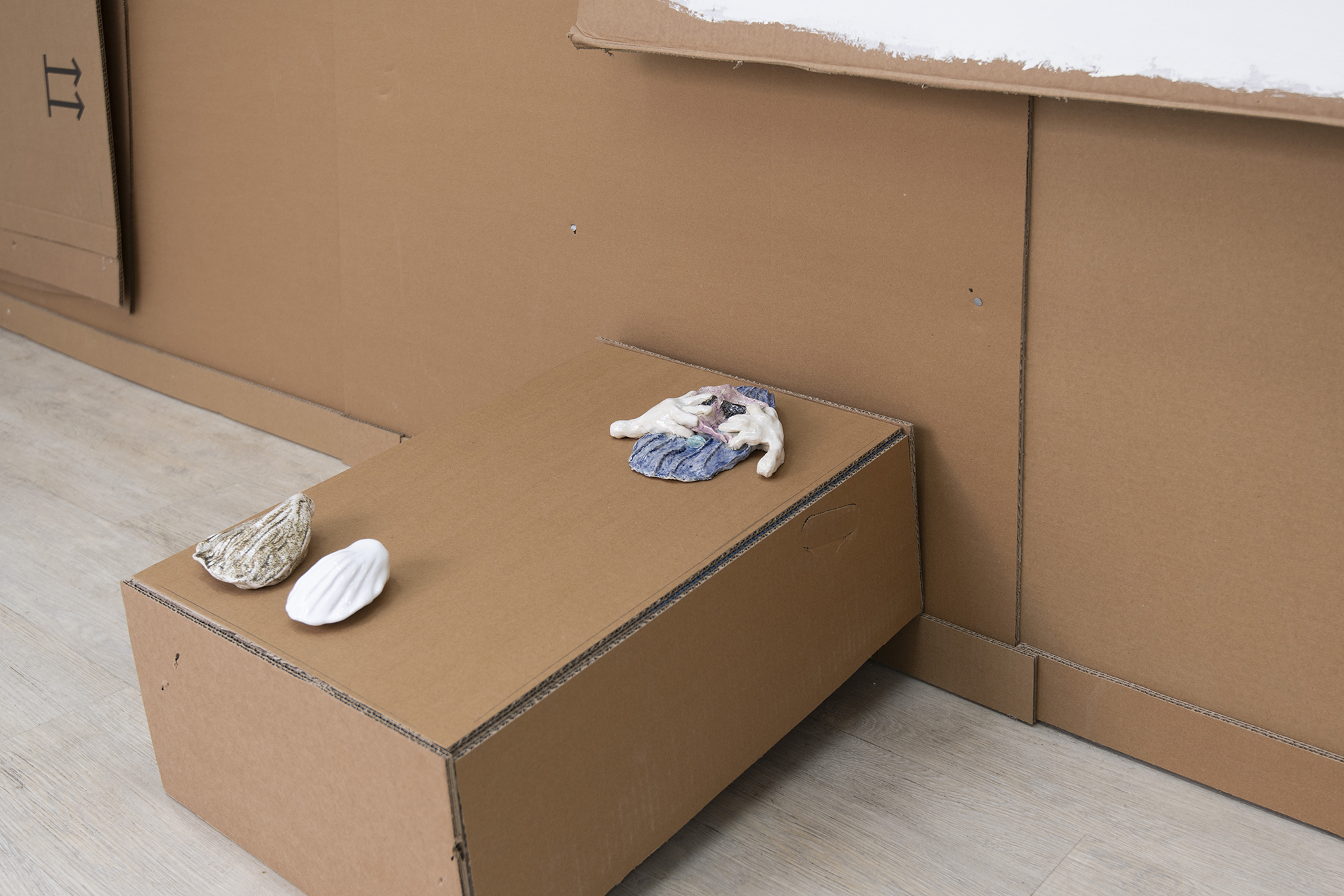 Lucia Graf, Sleepy Shells, glazed ceramics, 2024