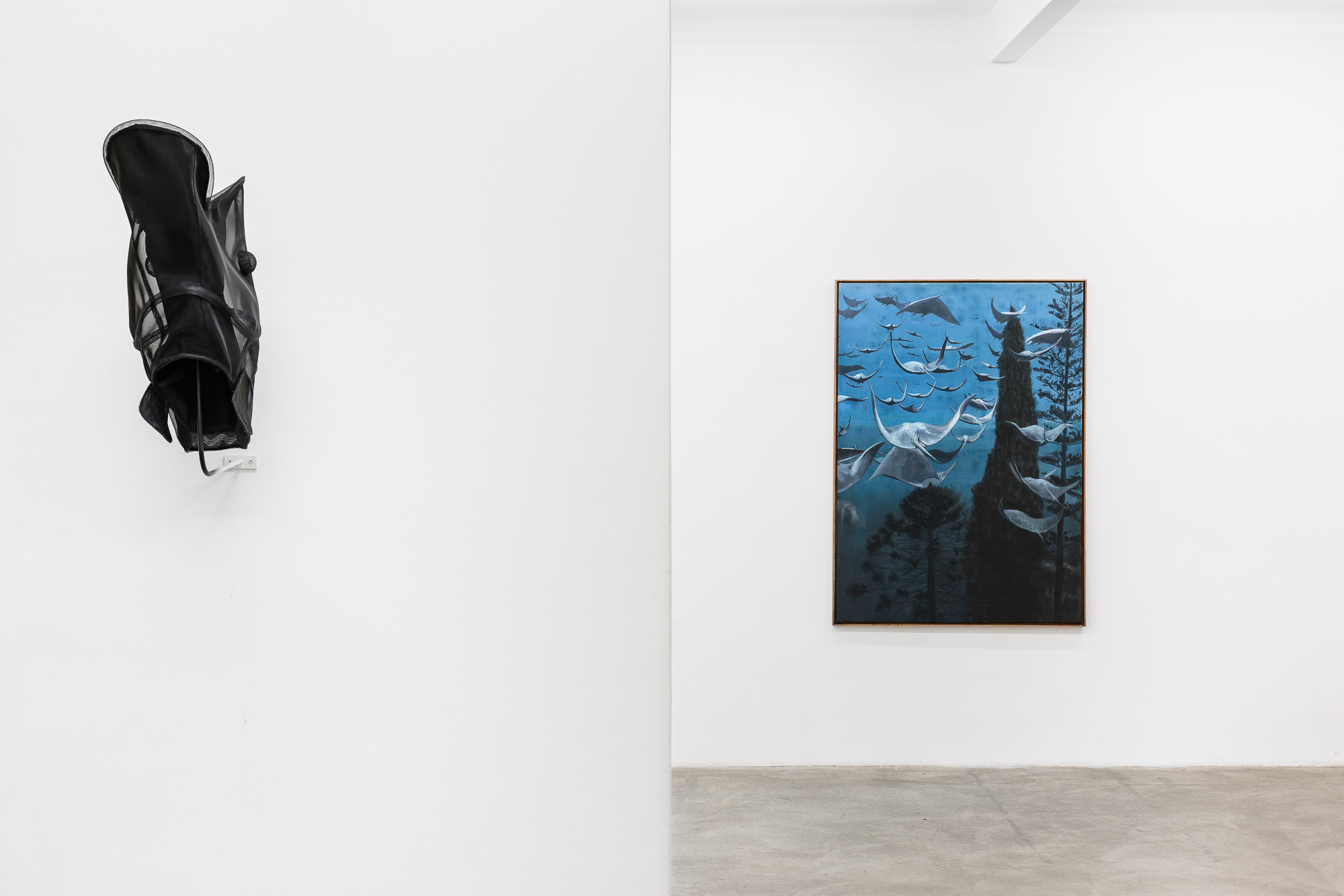 Exhibition view, Hugo Canoilas: Fables, Galerie Martin Janda, Vienna, 2024