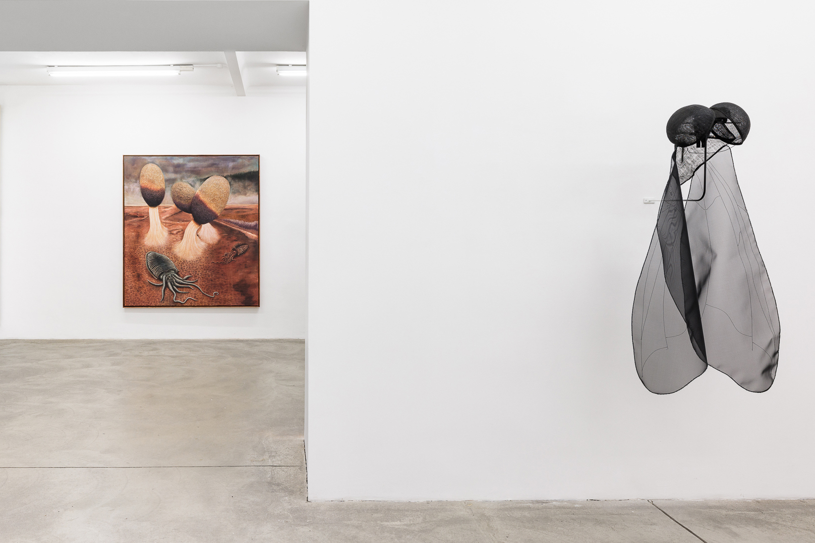 Exhibition view, Hugo Canoilas: Fables, Galerie Martin Janda, Vienna, 2024