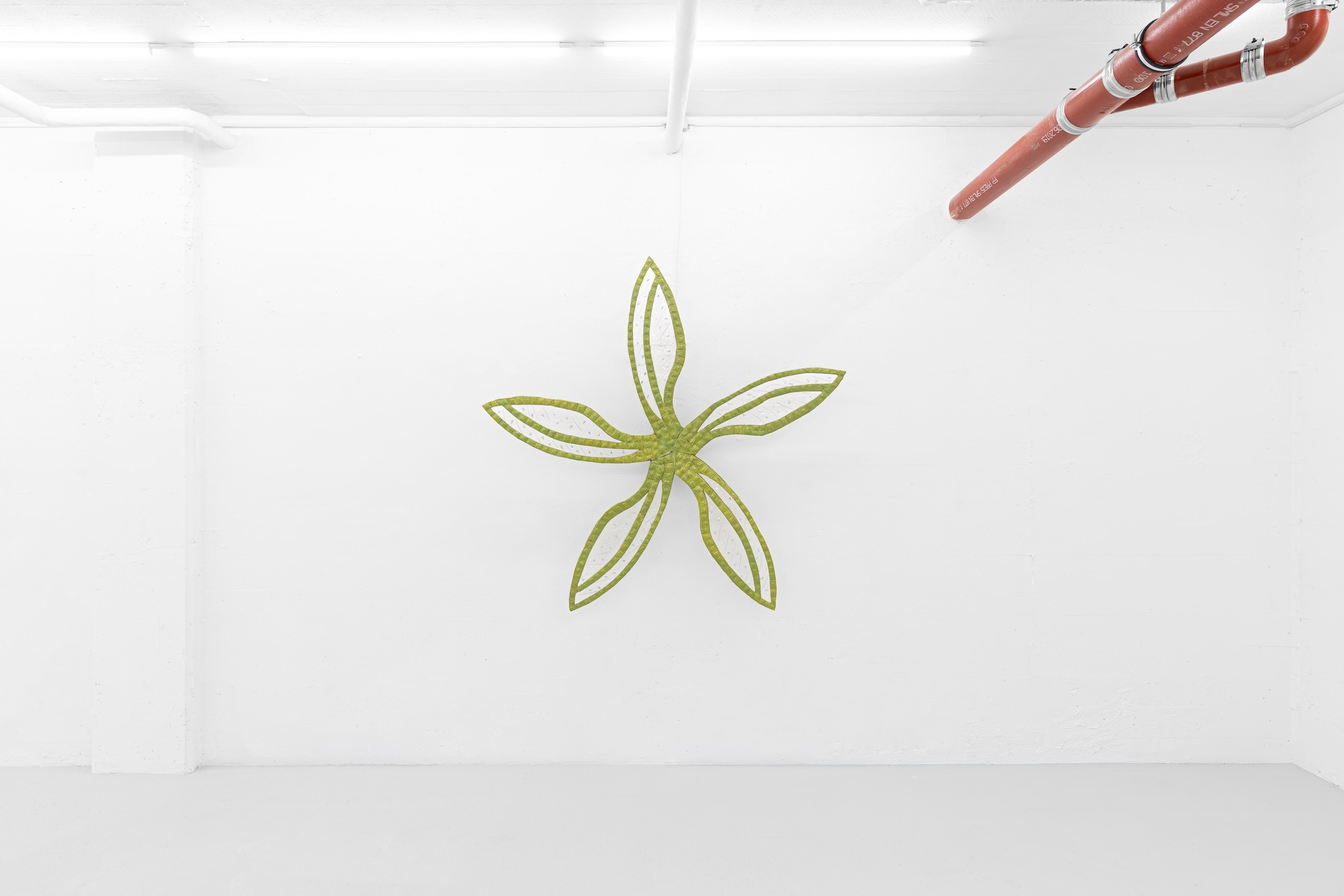 Sif HedegÄrd, Installation view at Matteo Cantarella, 12.12.24 - 01.02.25