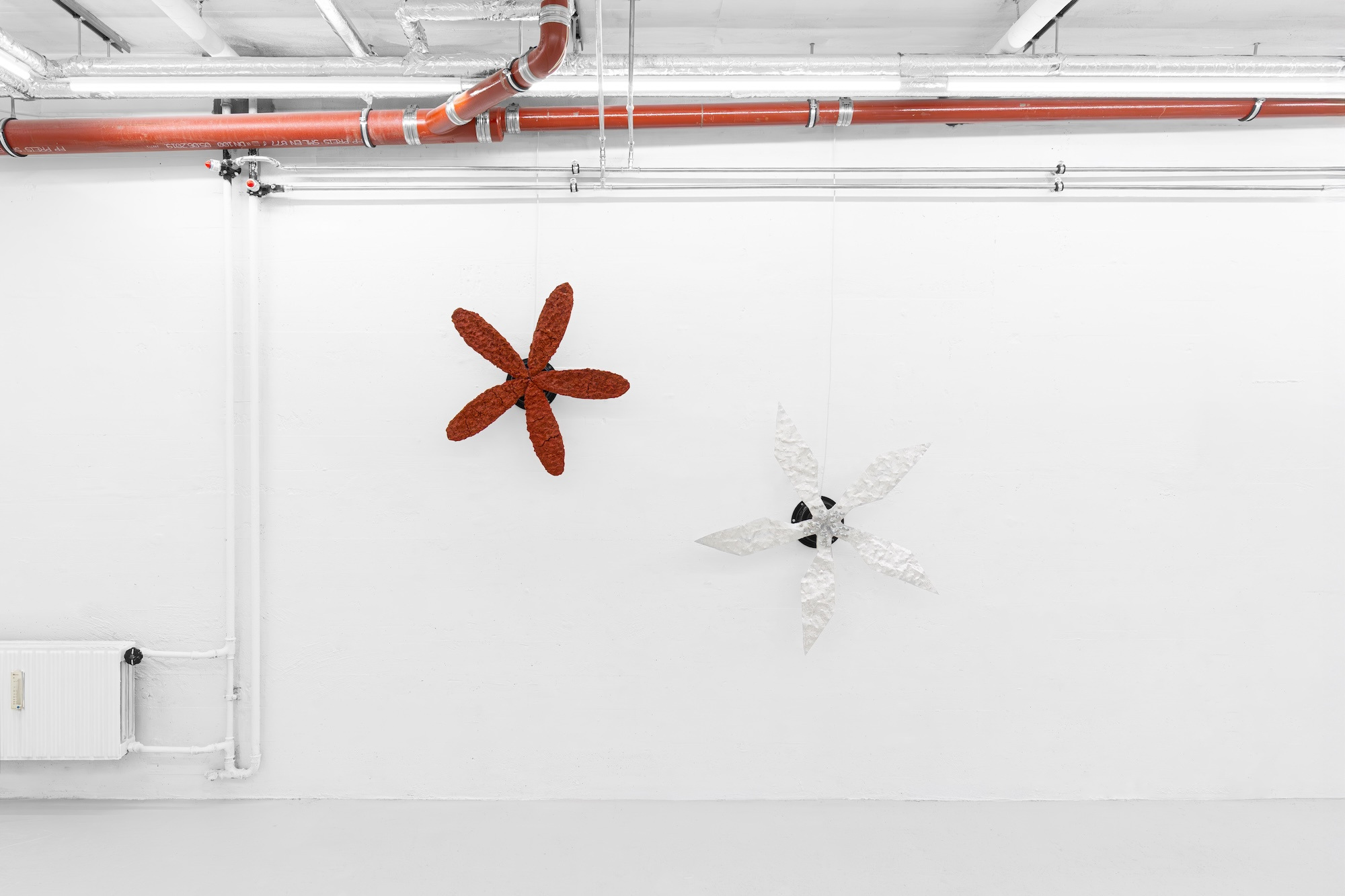 Sif HedegÄrd, Installation view at Matteo Cantarella, 12.12.24 - 01.02.25