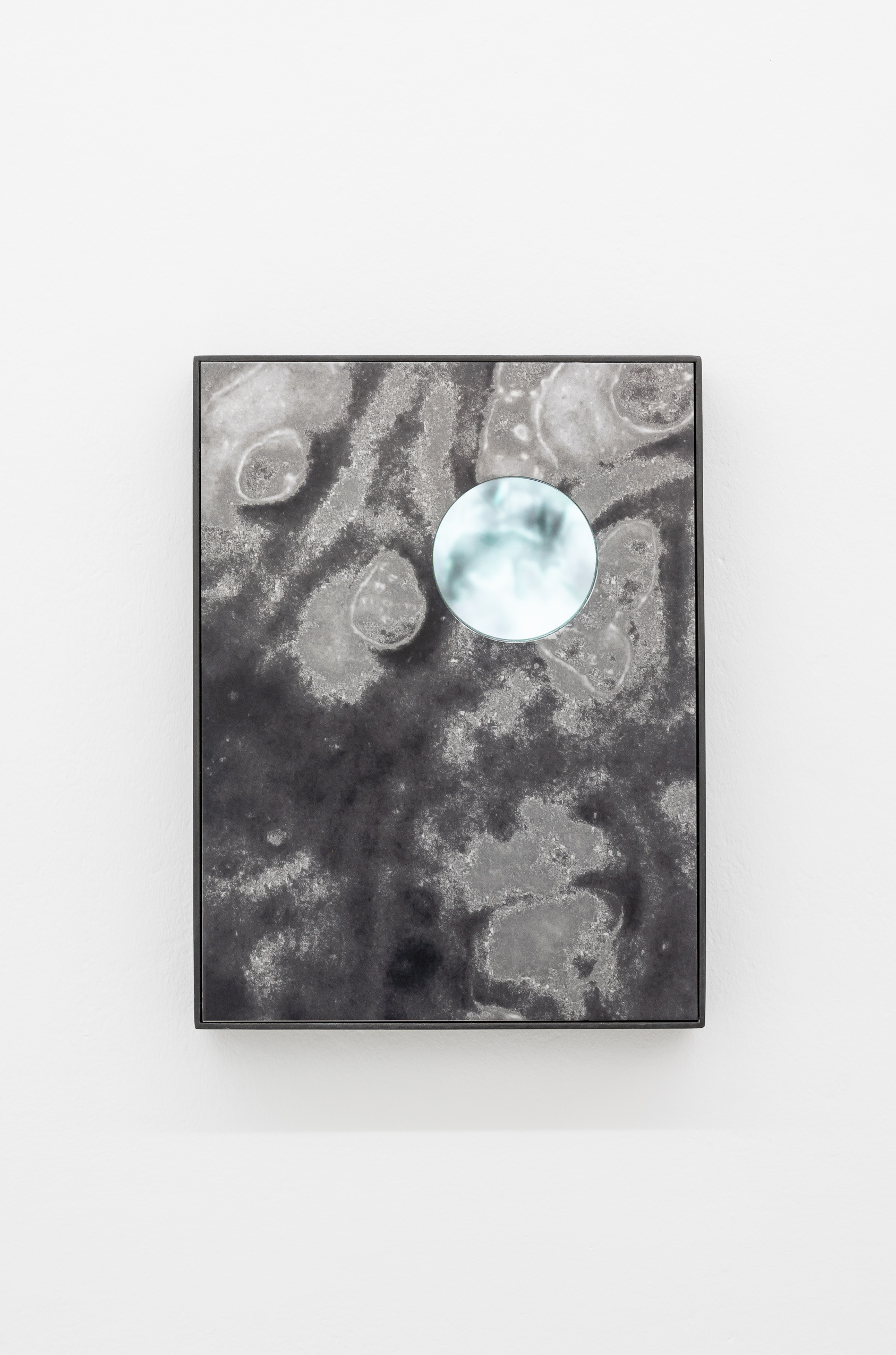 Milk Hare (UV-Print on aluminium, loupe, LCD display, video loop, artist frame, 31 x 41 x 5 cm)