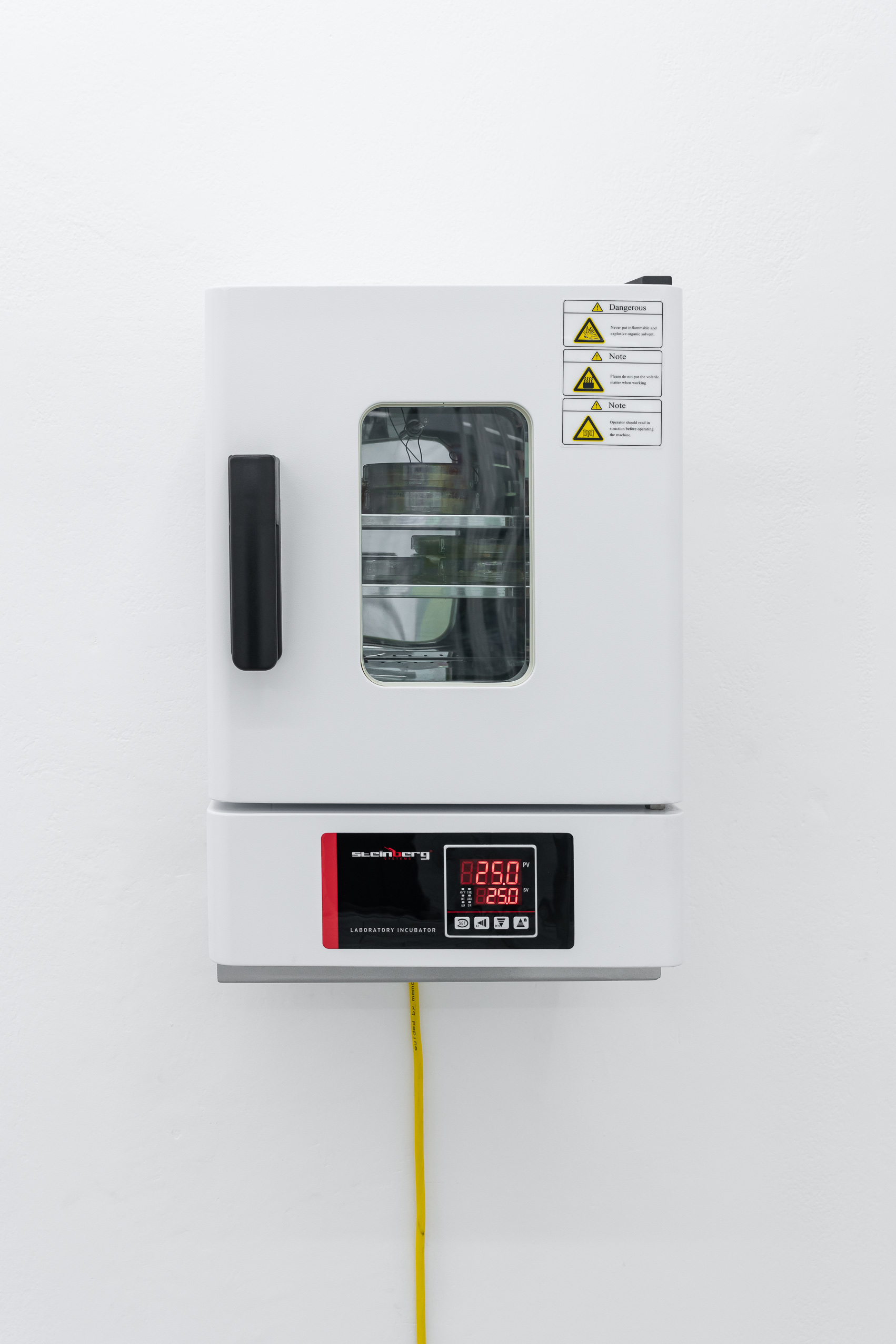 Incubator with Physarum Polycephalum