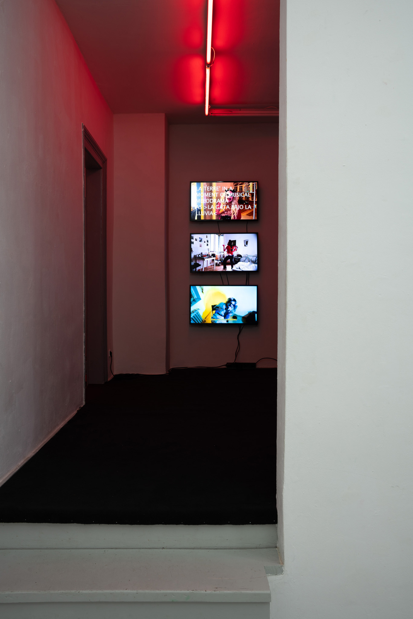 Luis Javier Murillo Zúñiga, exhibition view LA TERRE': My Likeness in Relics at Bistro 21, © photo by Laura Wichmann, 2024