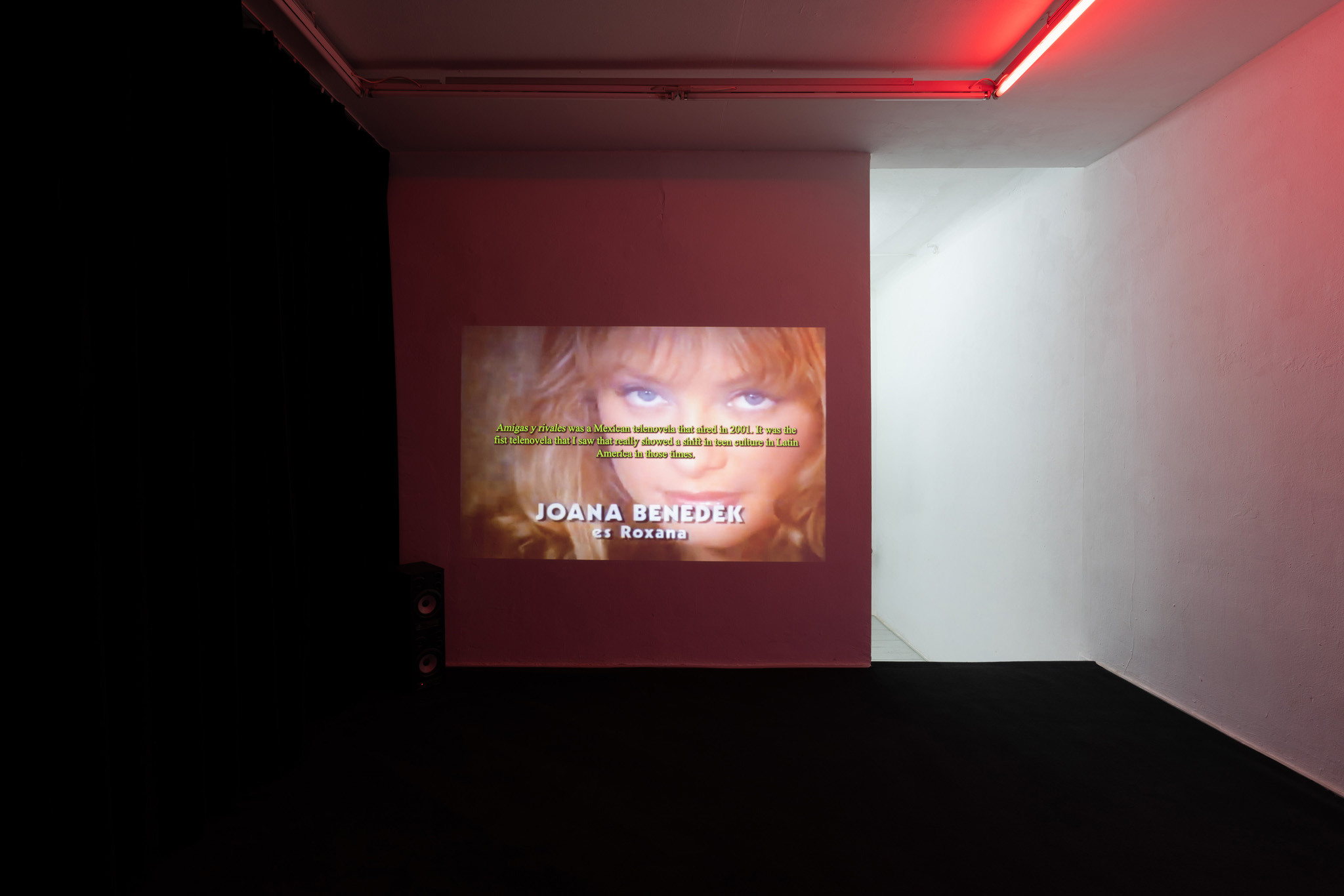 Luis Javier Murillo Zúñiga, My Likeness in Relics, video collage loop 36min, exhibition view LA TERRE': My Likeness in Relics at Bistro 21, © photo by Laura Wichmann, 2024