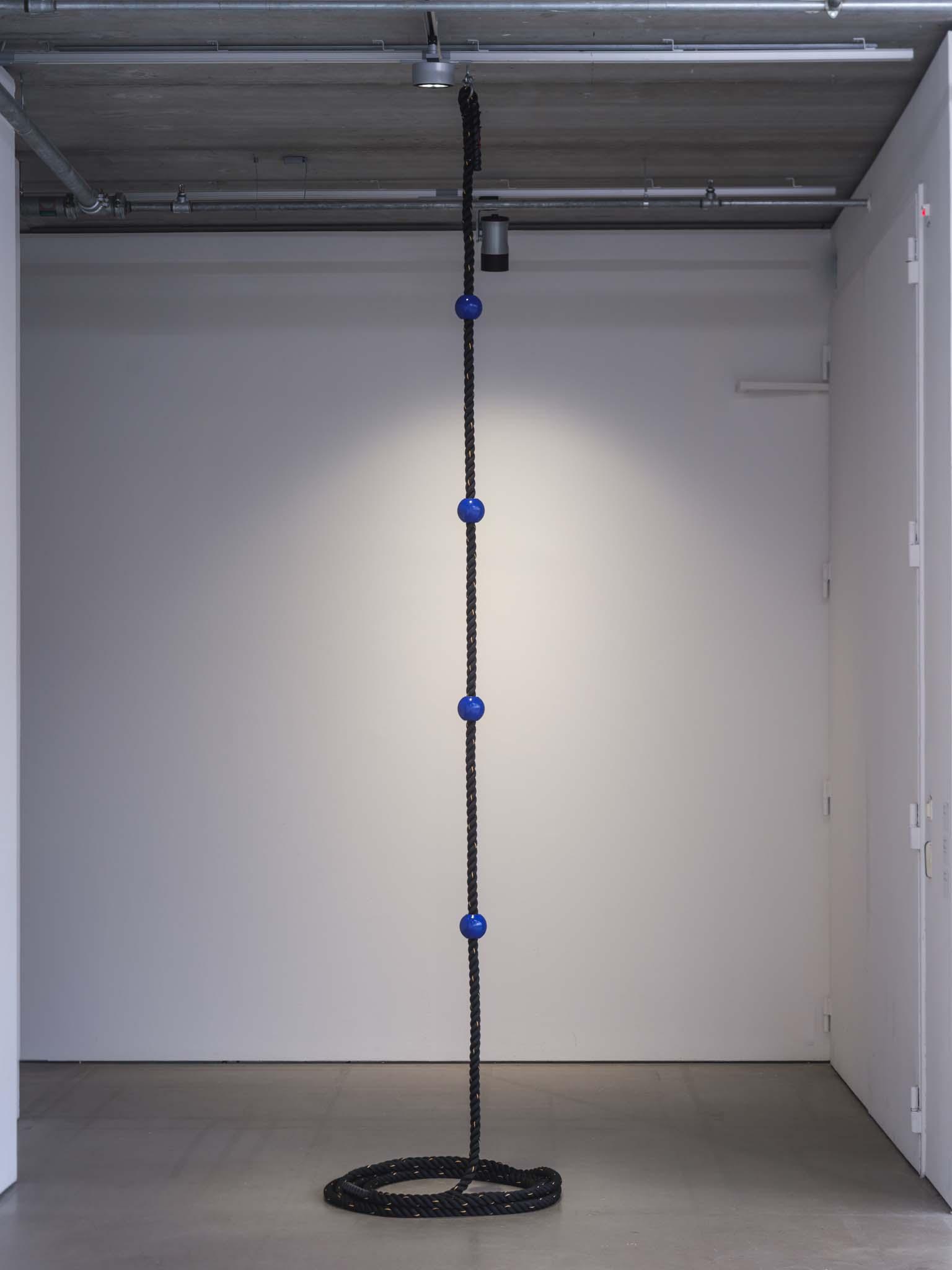 Abseiling to a Gay Beach, 2024, Dimensions variable, Rope, PLA, acrylics, lacquer