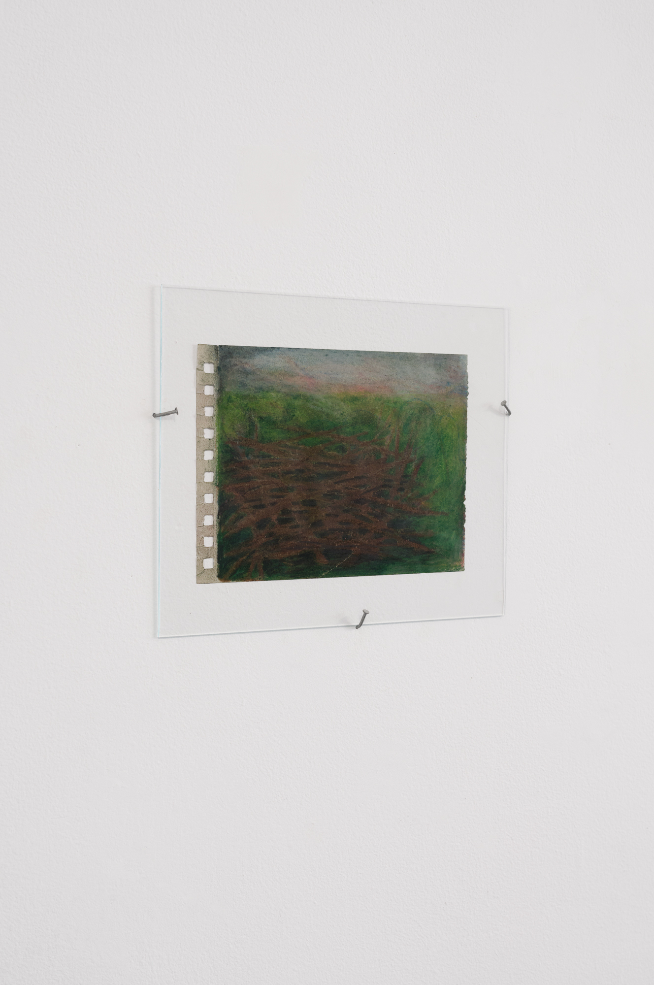 Phil Tremble, Branchaille (2025), Colored pencil, paper, glass and steel hardware 7 x 5.5 inches