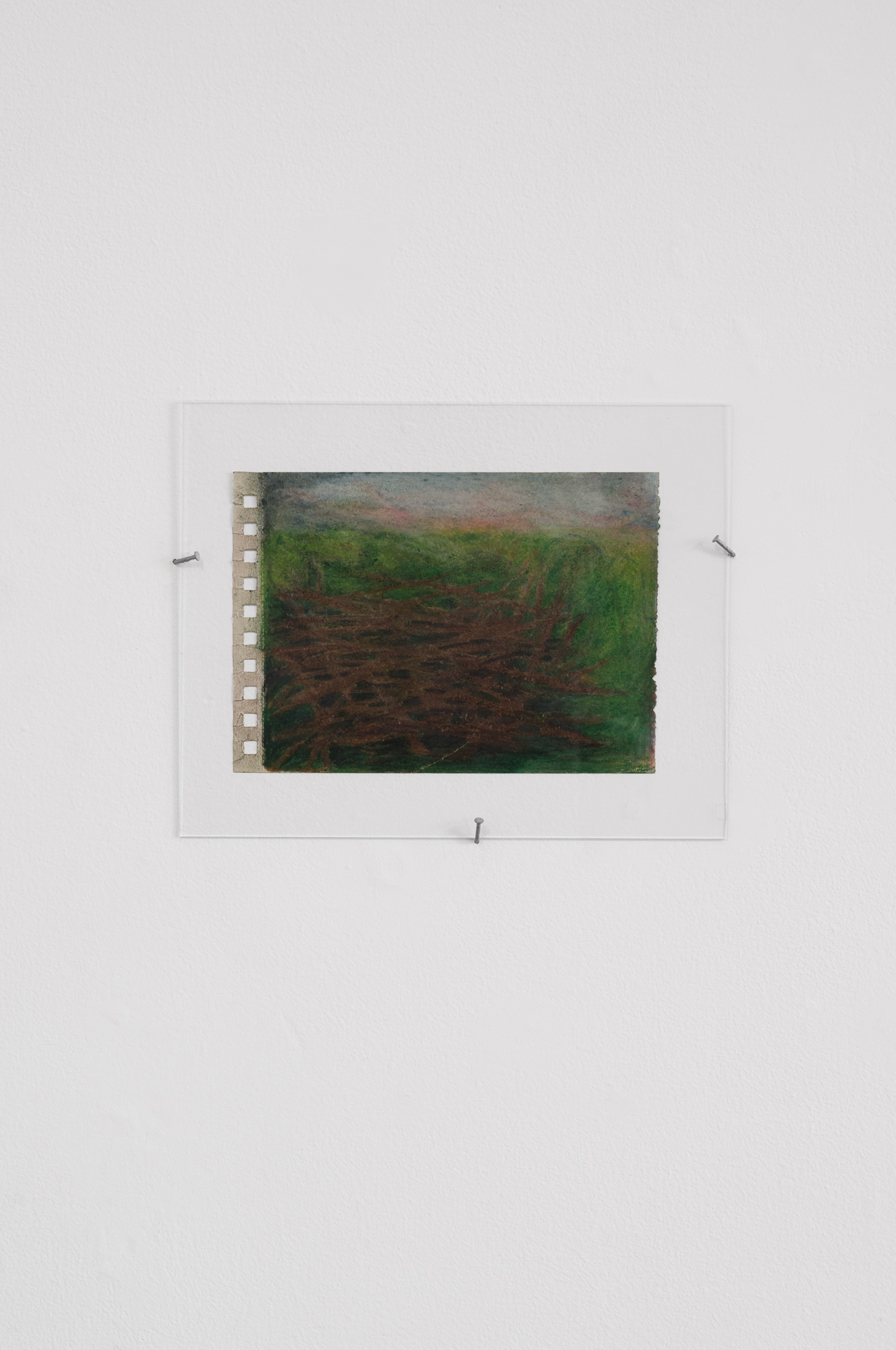 Phil Tremble, Branchaille (2025), Colored pencil, paper, glass and steel hardware 7 x 5.5 inches