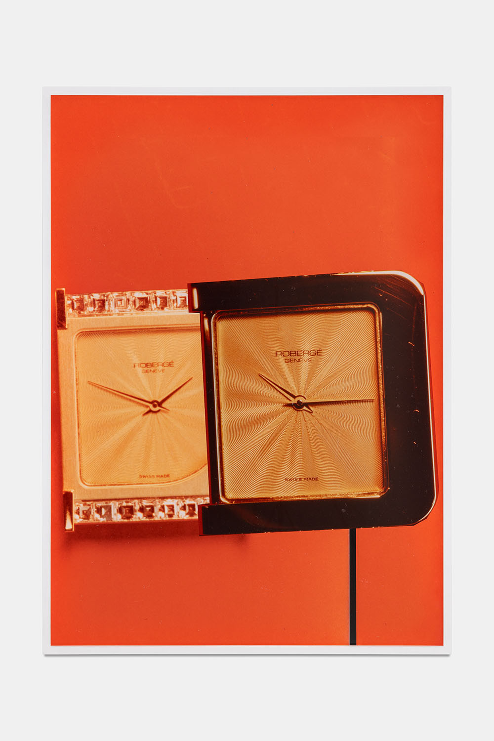 Alfredo Aceto, Wifi Swan, 2024, Inkjet print on baryta paper, 140 x 100 cm